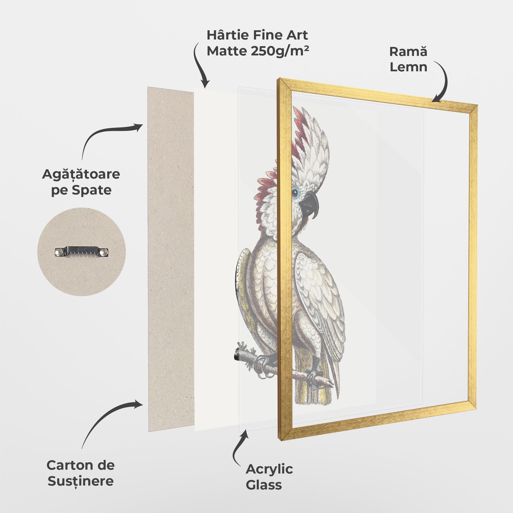 Poster Înrămat Interesting Bird mockup 1