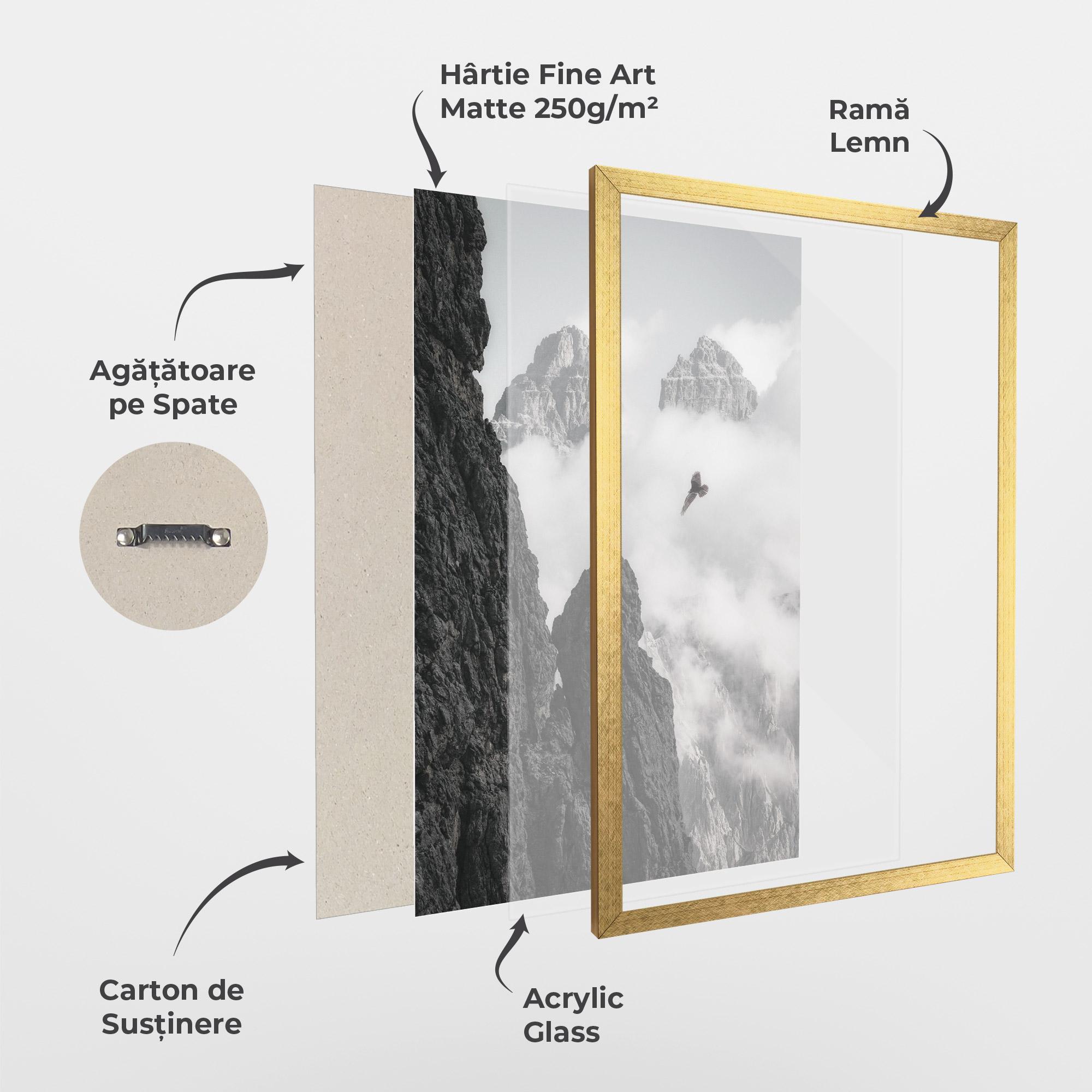Poster Înrămat Mountain Eagle mockup 1