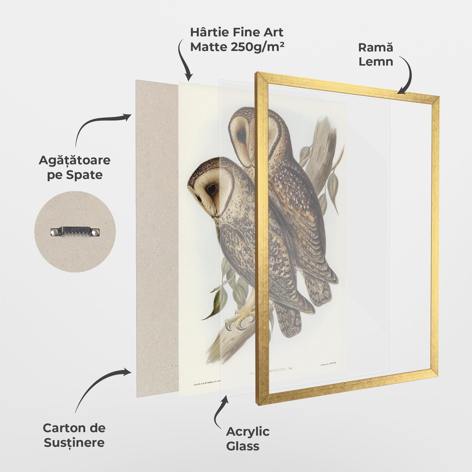 Poster Înrămat Owl Family mockup 1