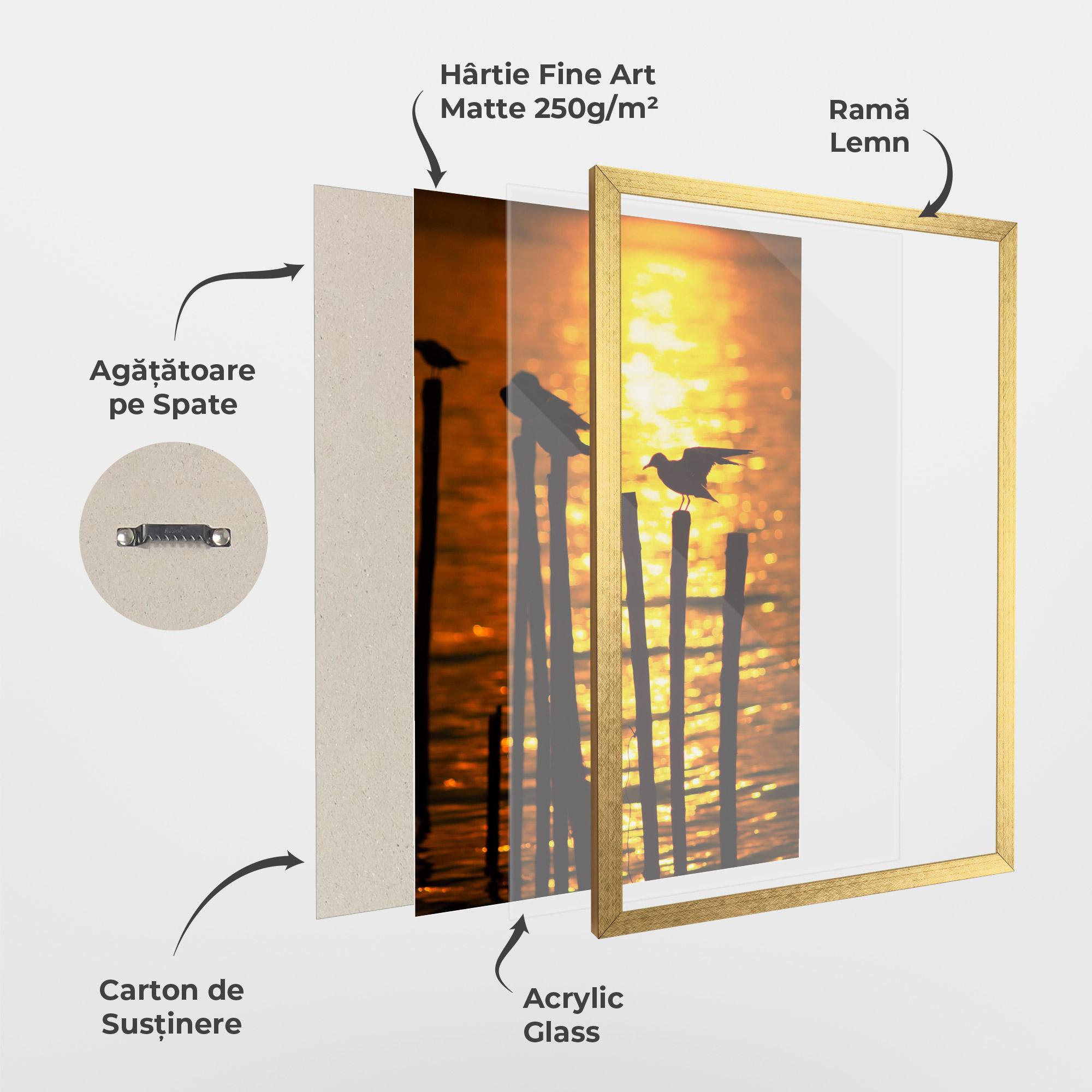 Poster Înrămat Silhouettes Birds mockup 1