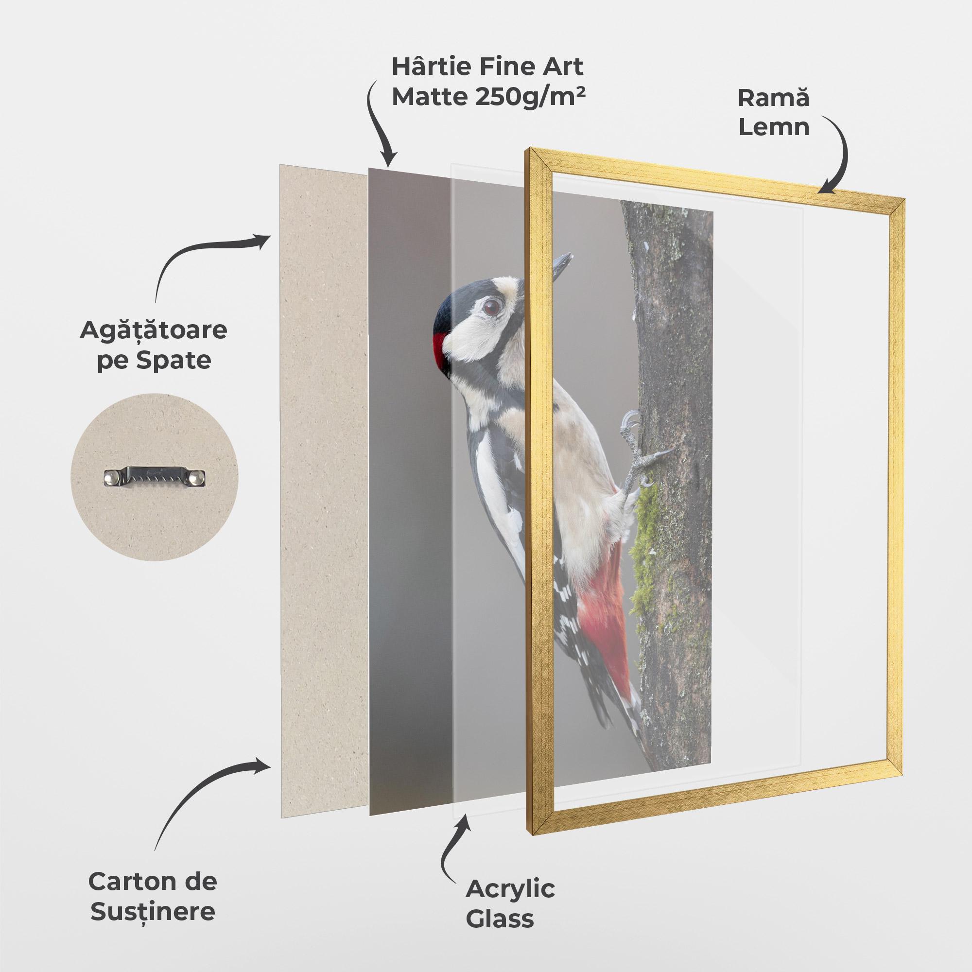 Poster Înrămat Woodpecker mockup 1