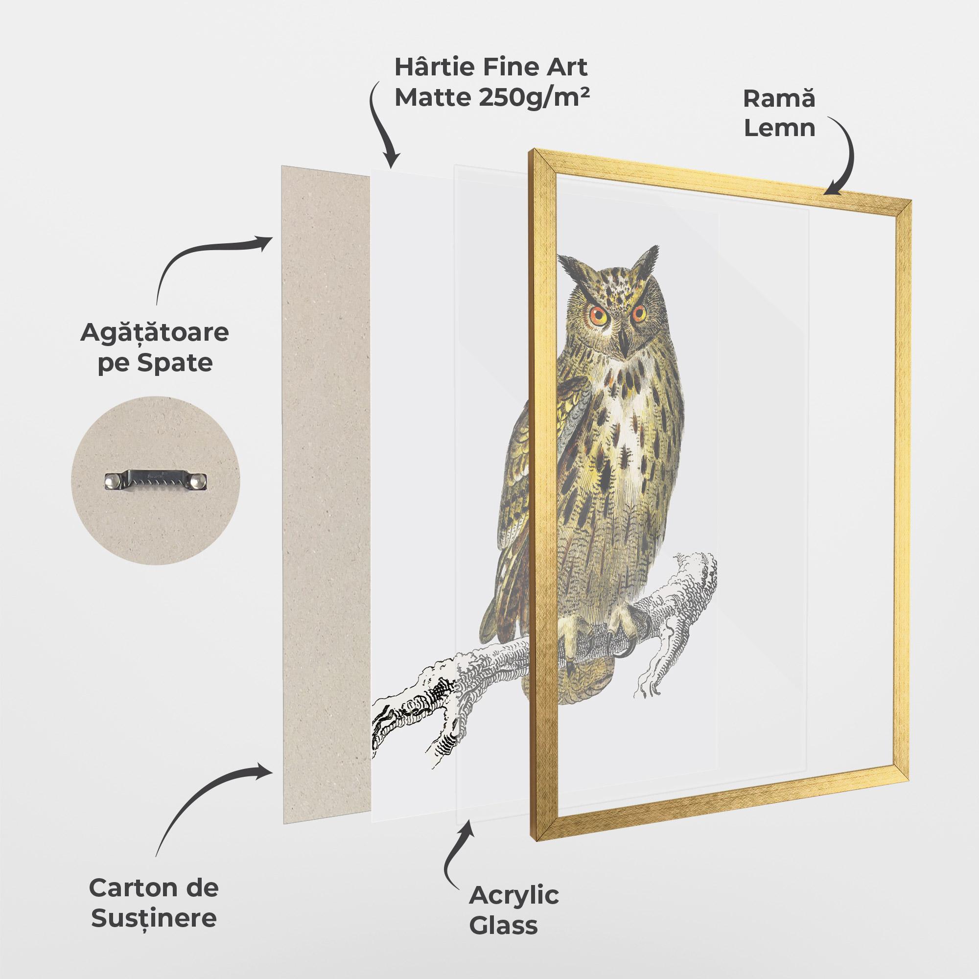 Poster Înrămat Yellow Owl mockup 1