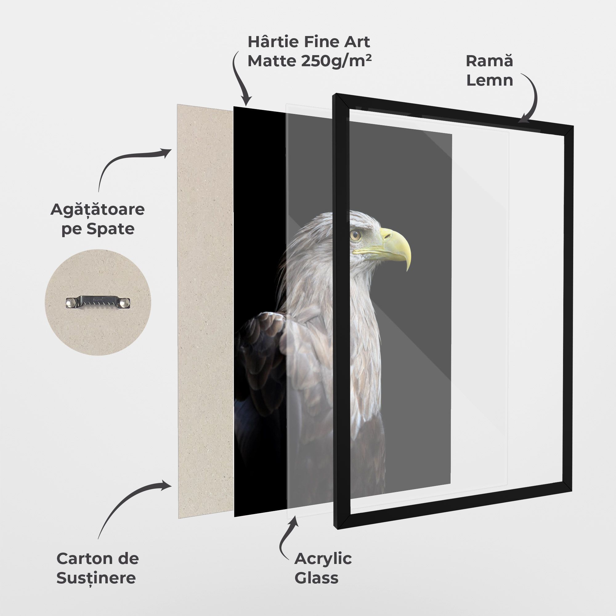 Close Up Eagle mockup 1