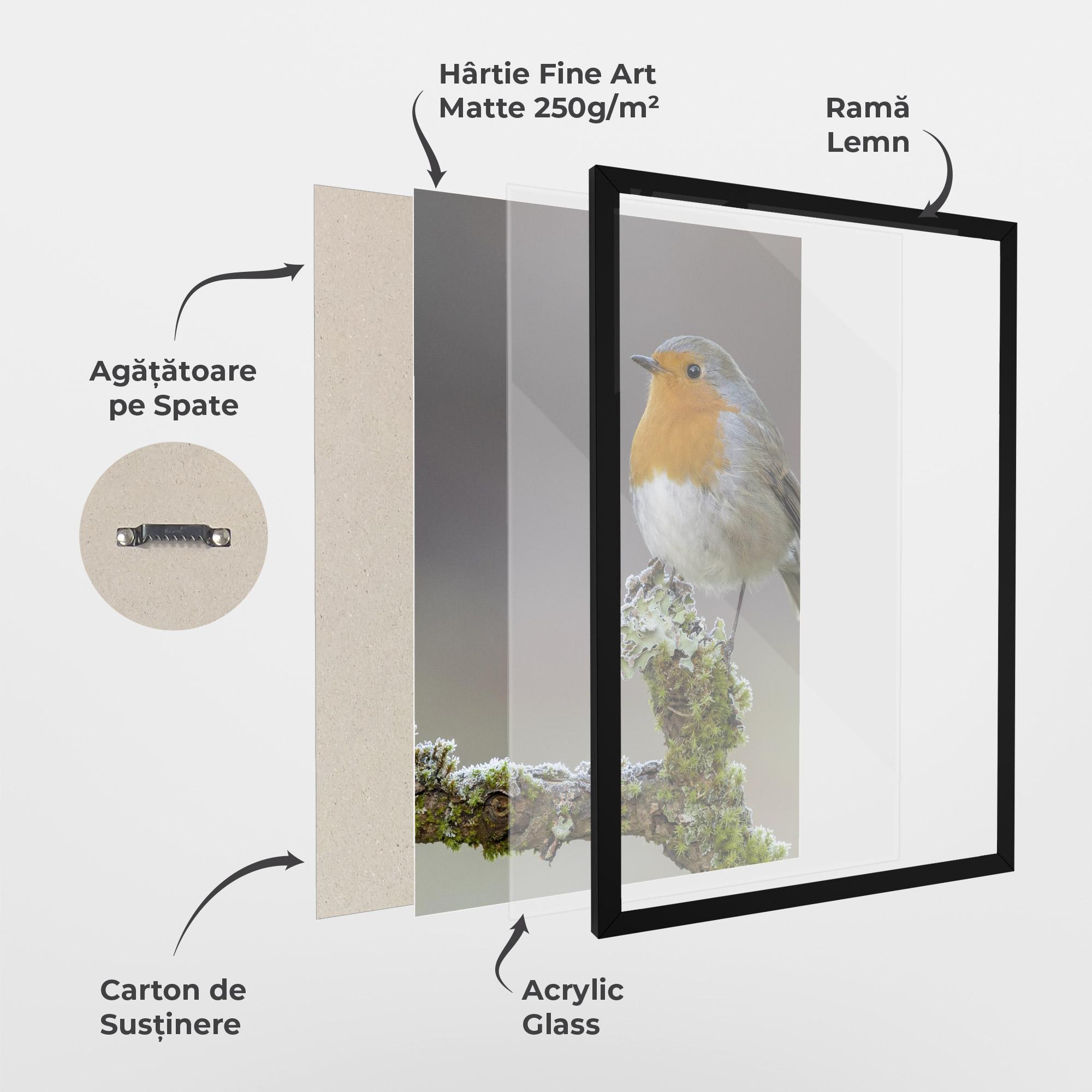 Poster Înrămat Erithacus Bird mockup 1