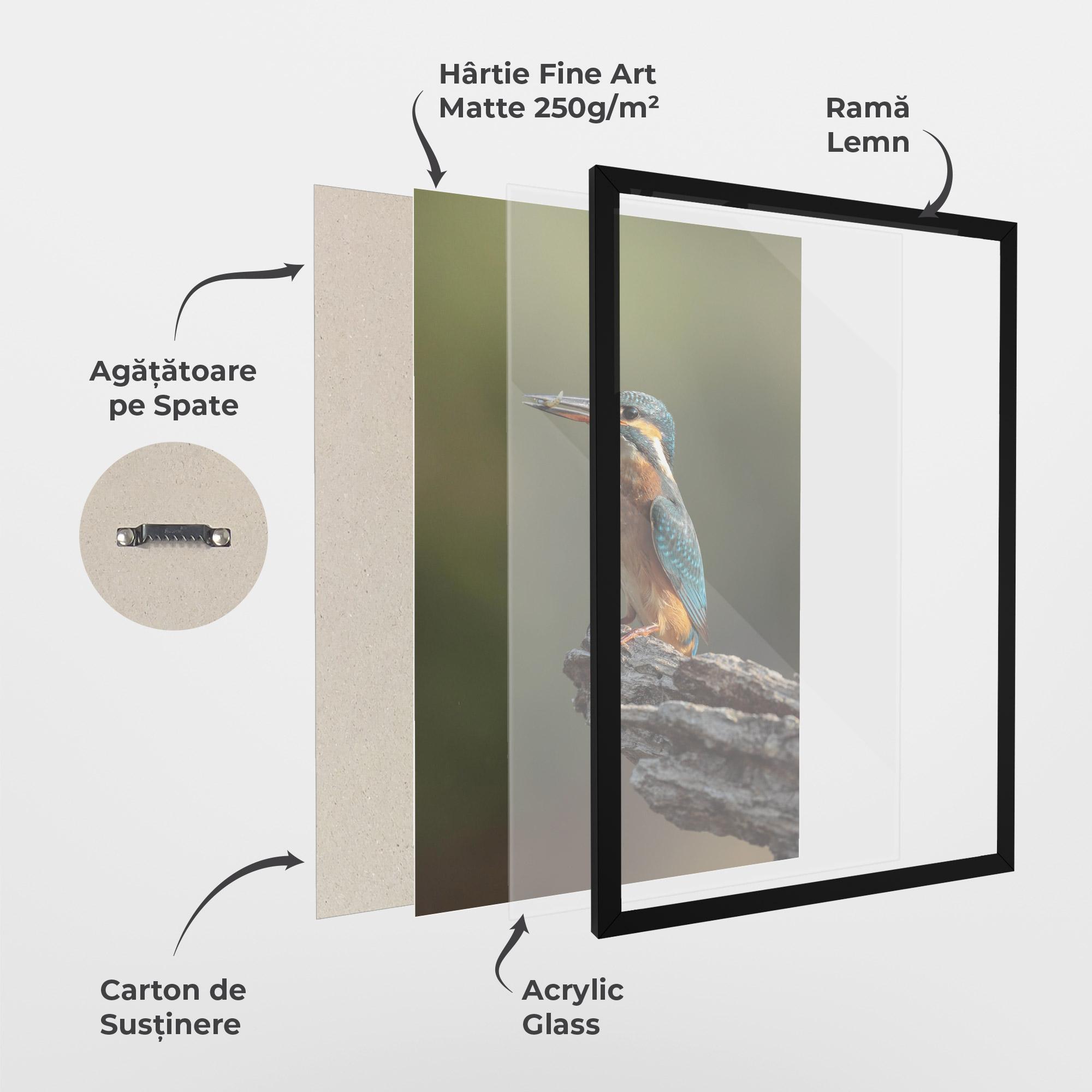 Poster Înrămat Female Kingfisher mockup 1