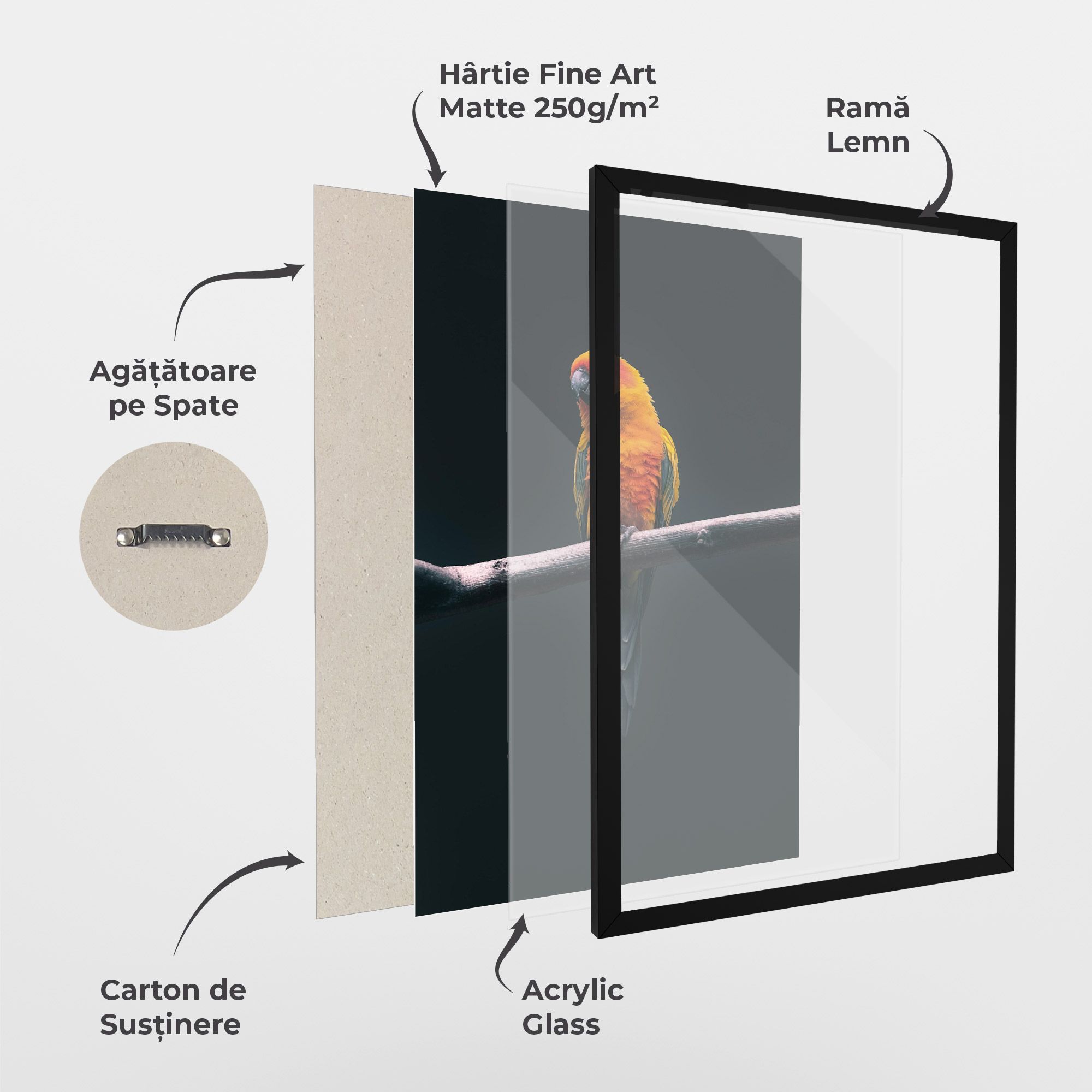 Fire Parrot mockup 1