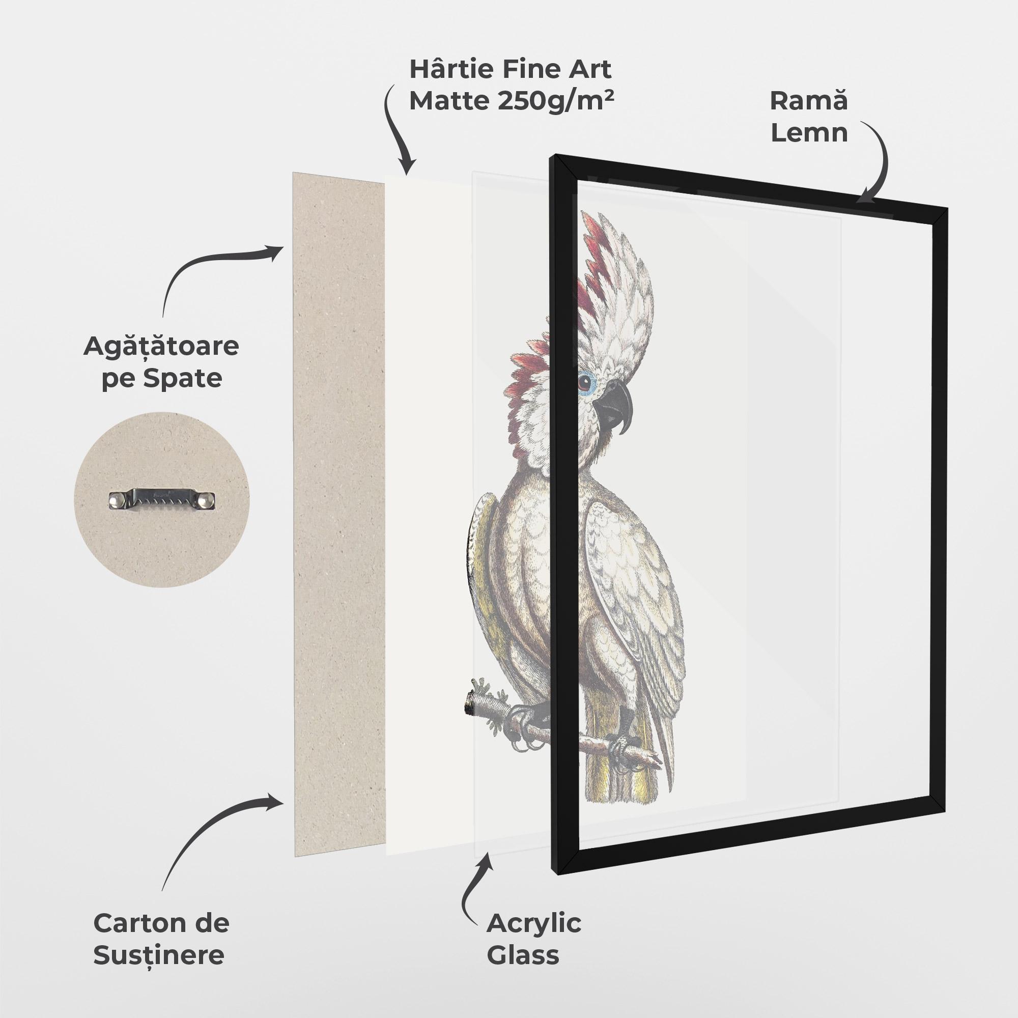 Poster Înrămat Interesting Bird mockup 1