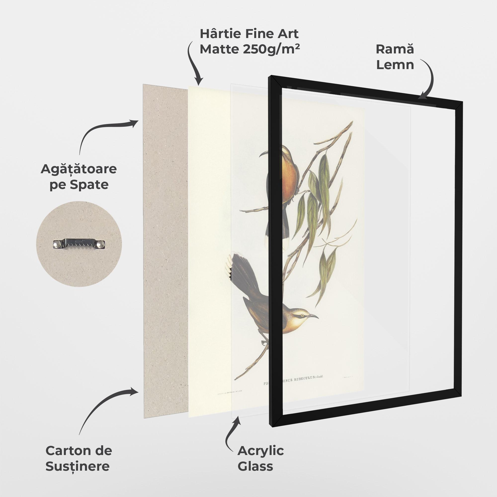 Poster Înrămat Red Pomatorhinus mockup 1