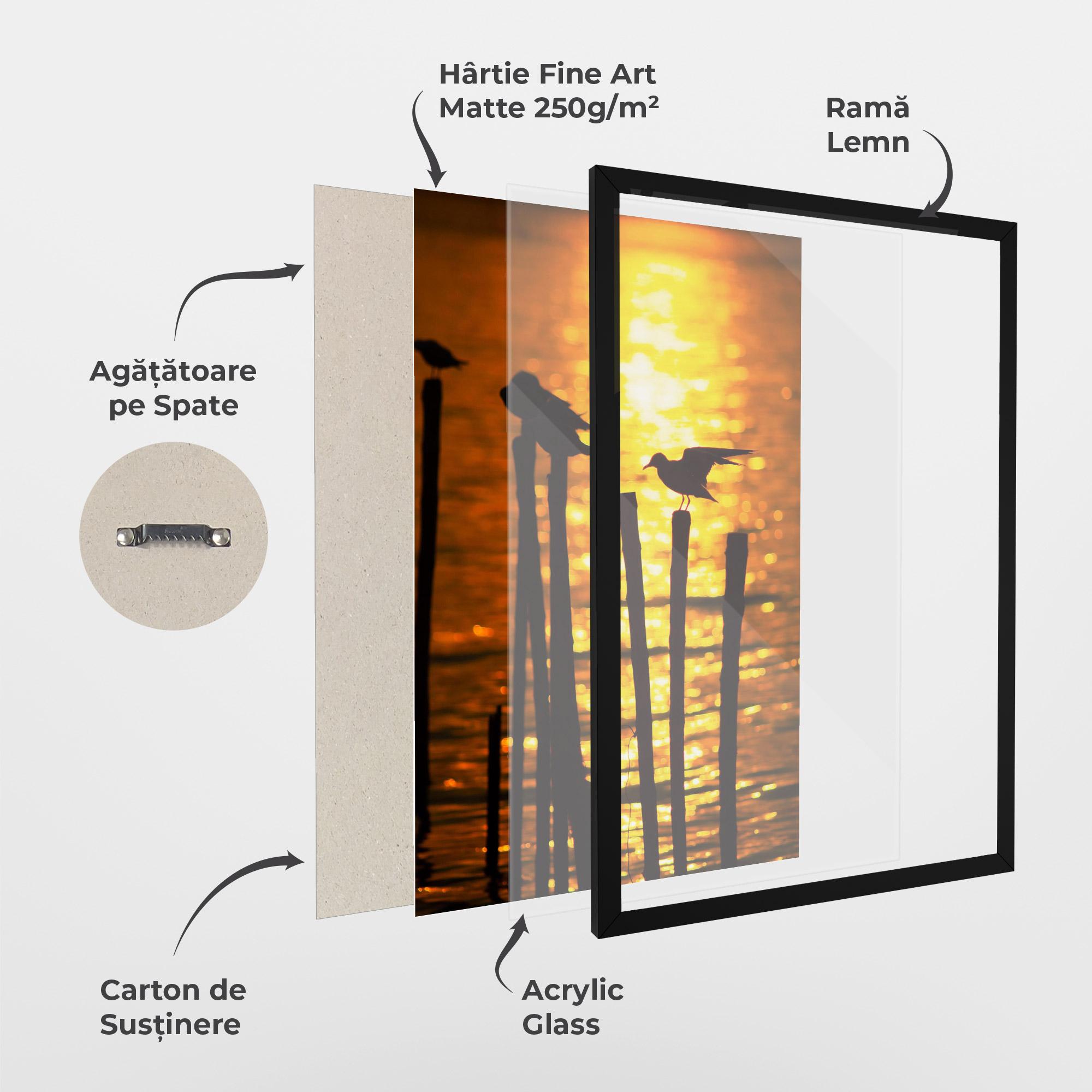 Poster Înrămat Silhouettes Birds mockup 1