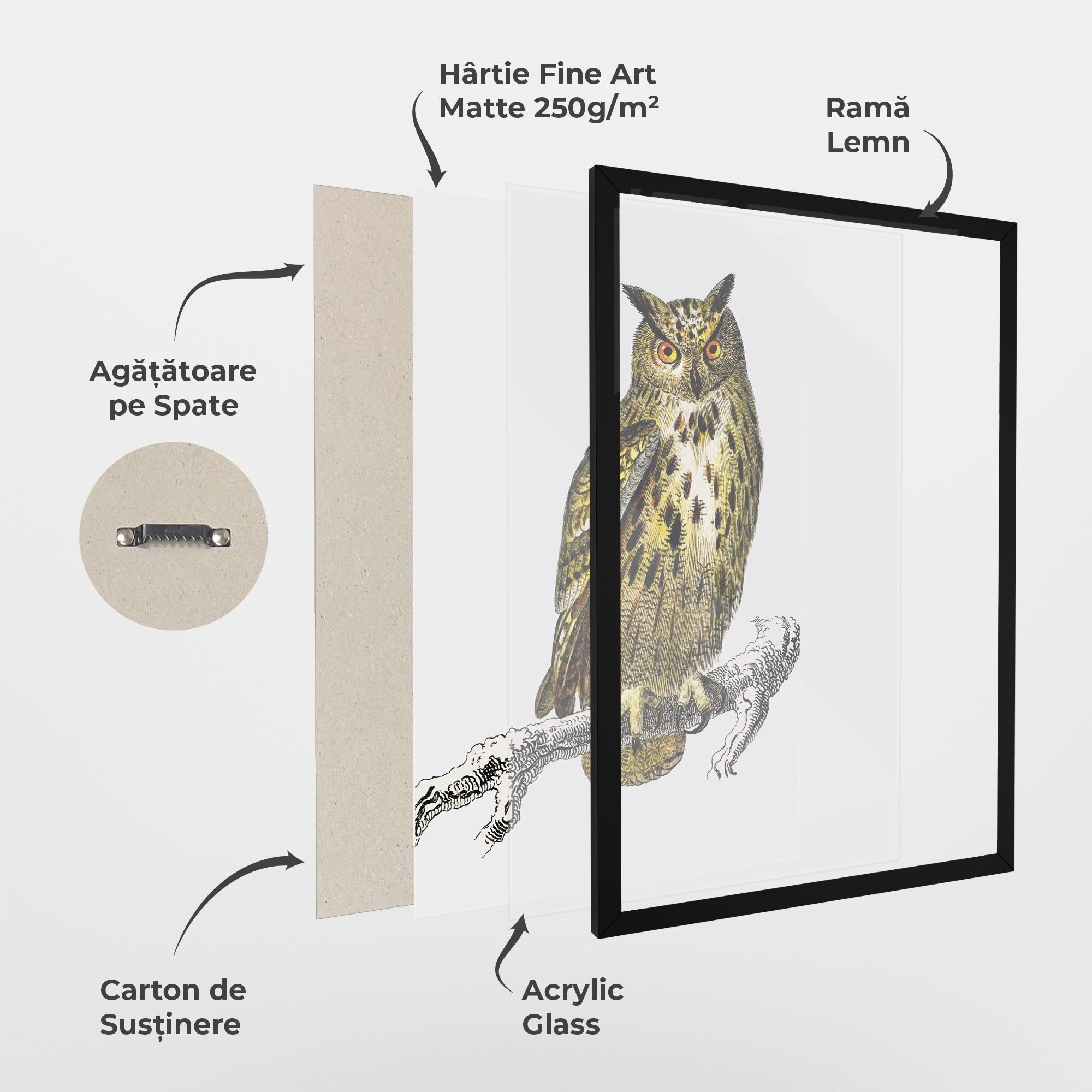 Yellow Owl mockup 1