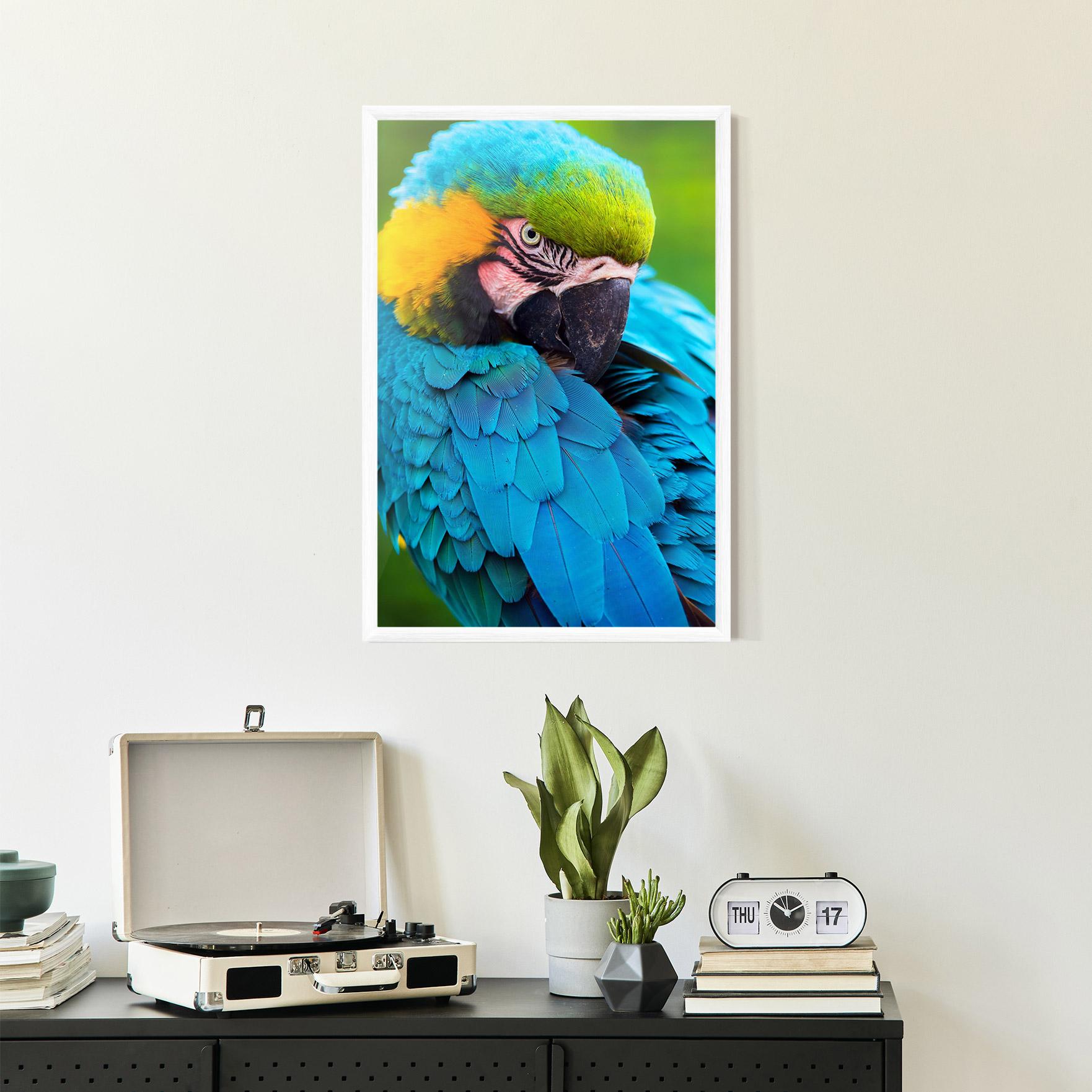 Poster Înrămat Blue Parrot mockup 2