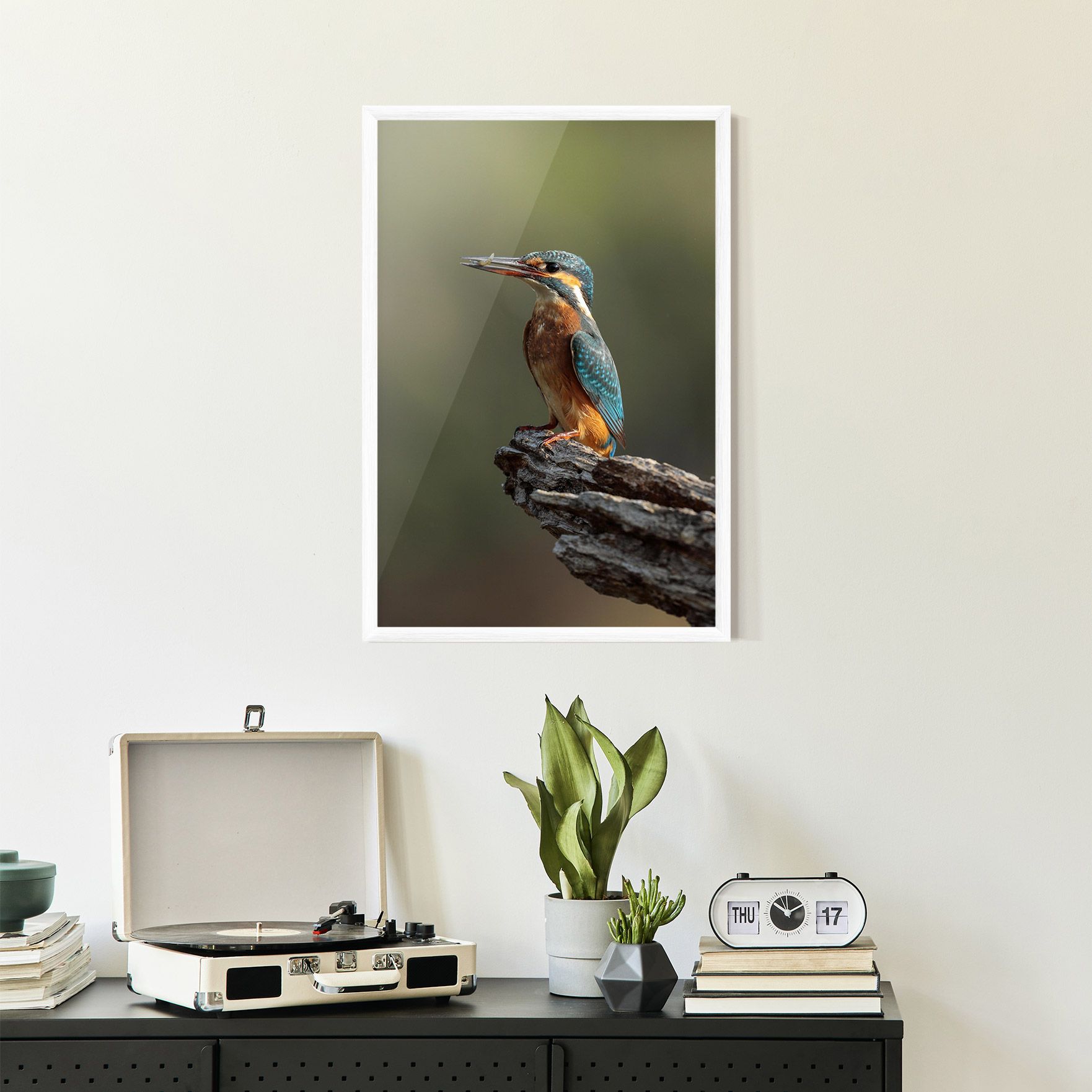 Female Kingfisher mockup 2