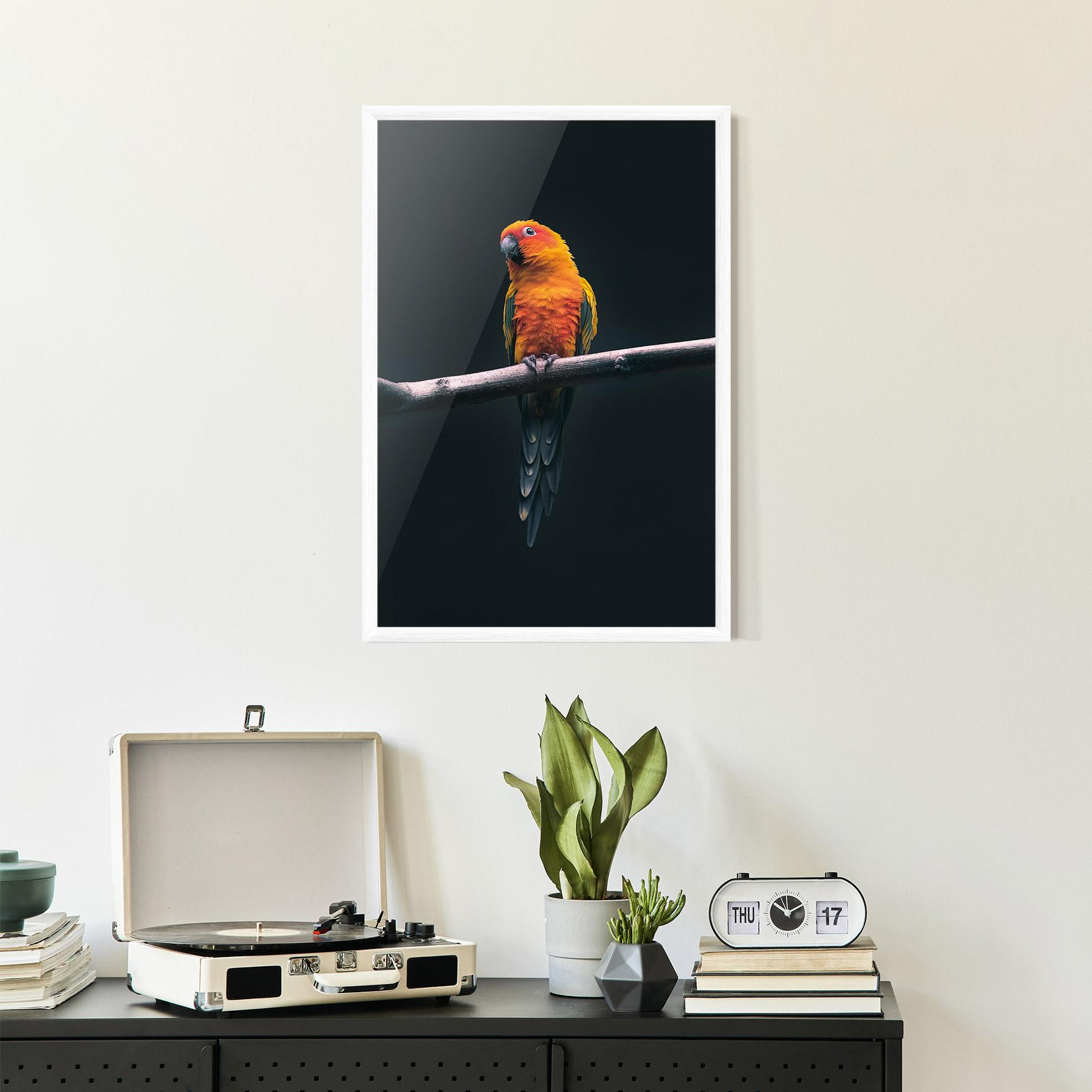 Poster Înrămat Fire Parrot mockup 2