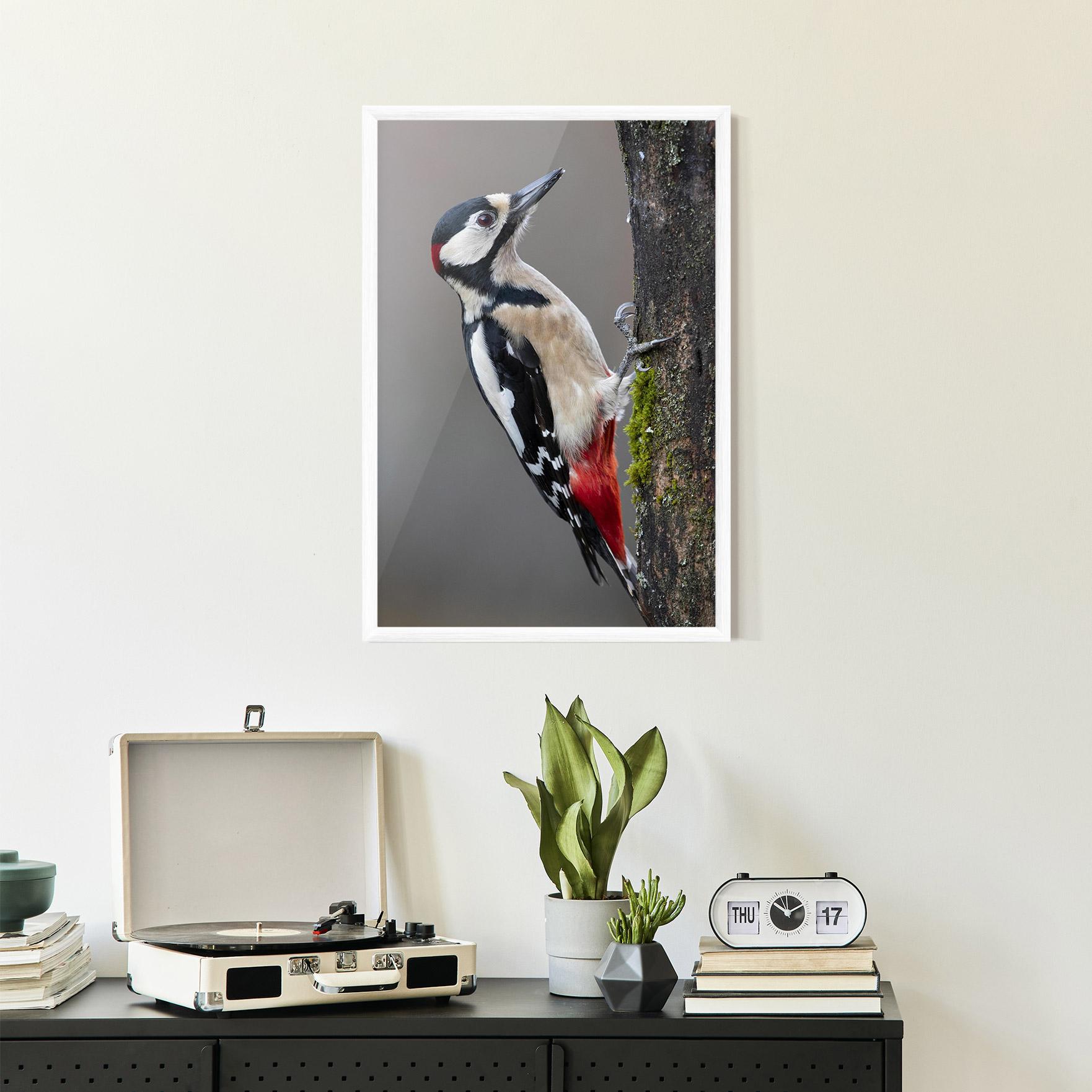 Poster Înrămat Woodpecker mockup 2