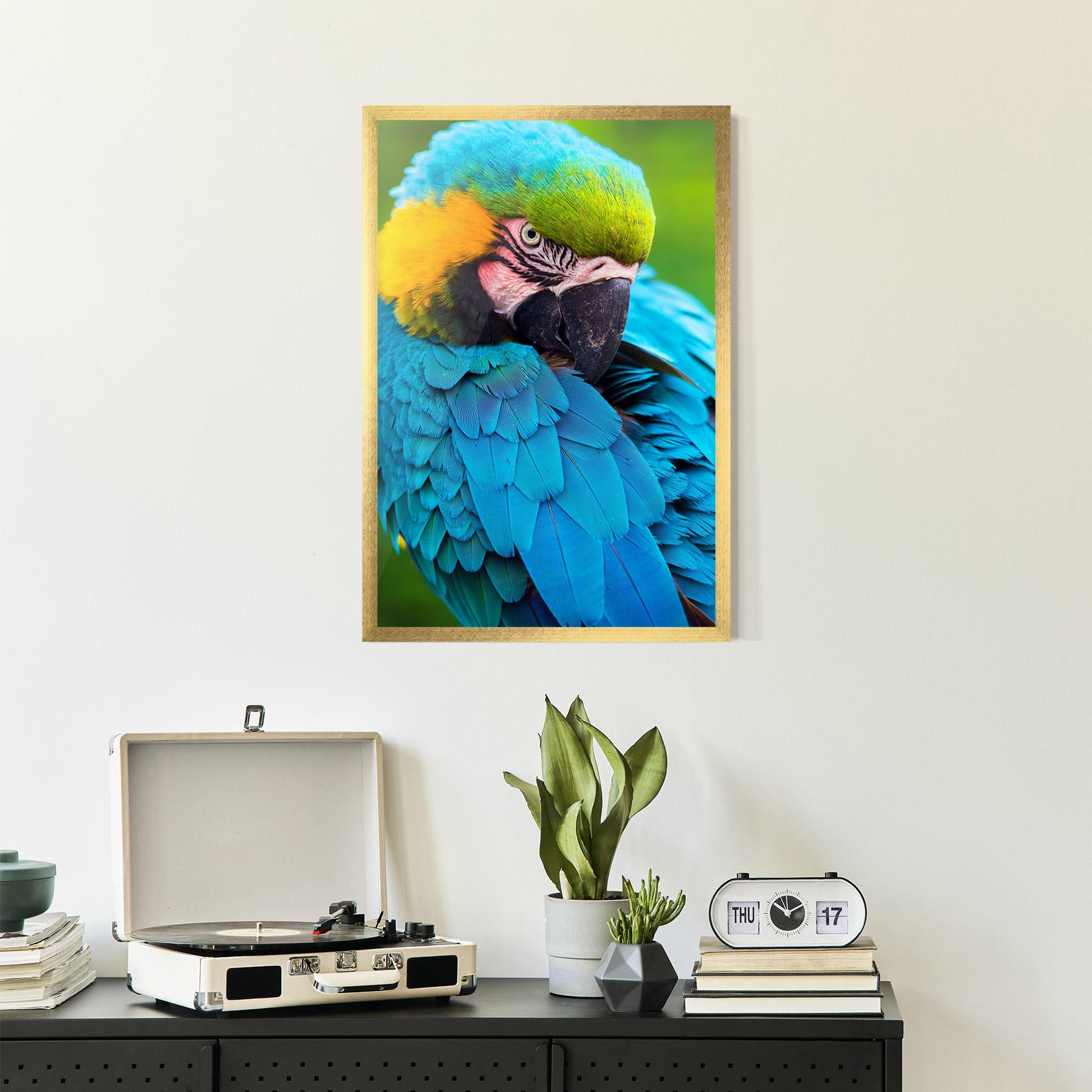 Poster Înrămat Blue Parrot mockup 2