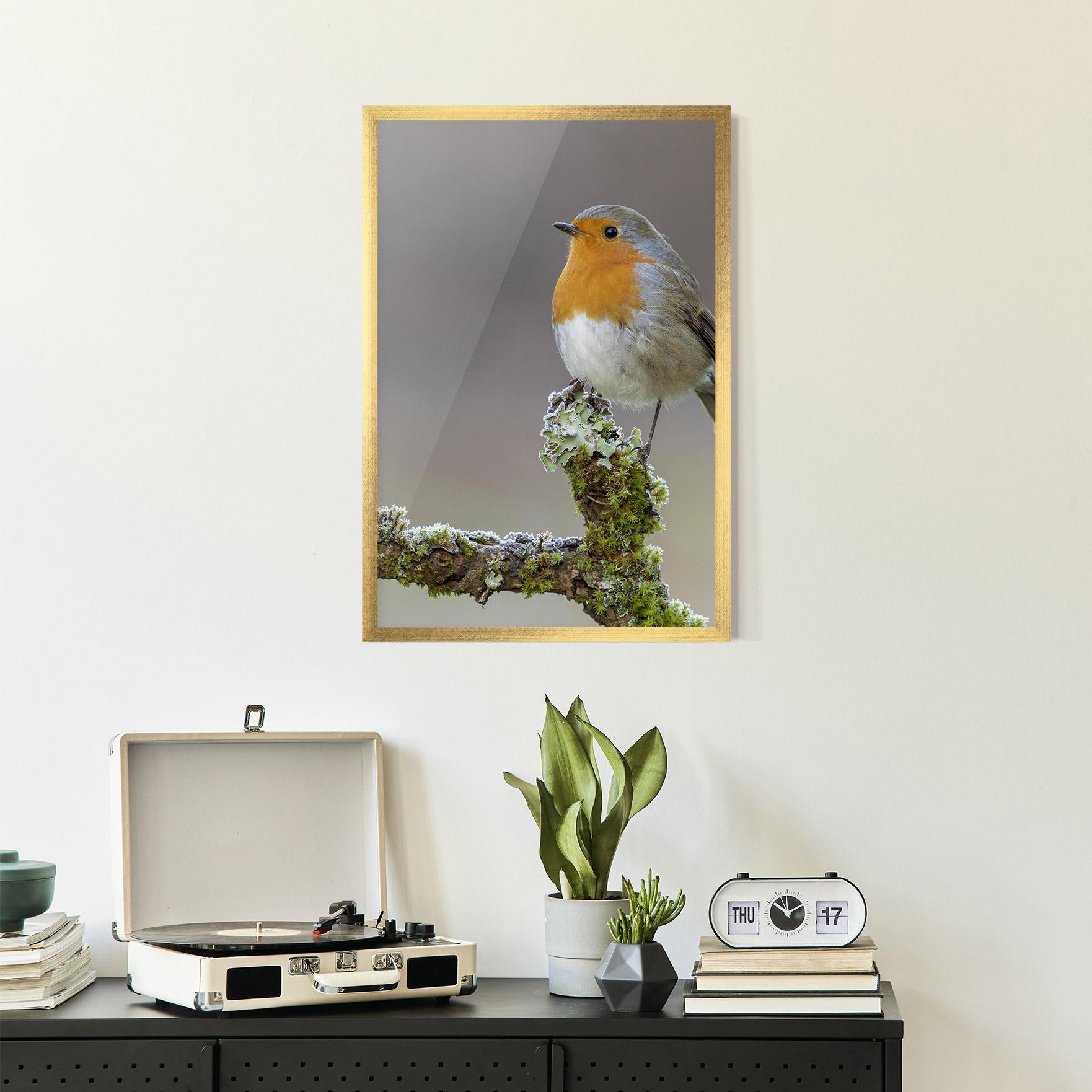 Poster Înrămat Erithacus Bird mockup 2