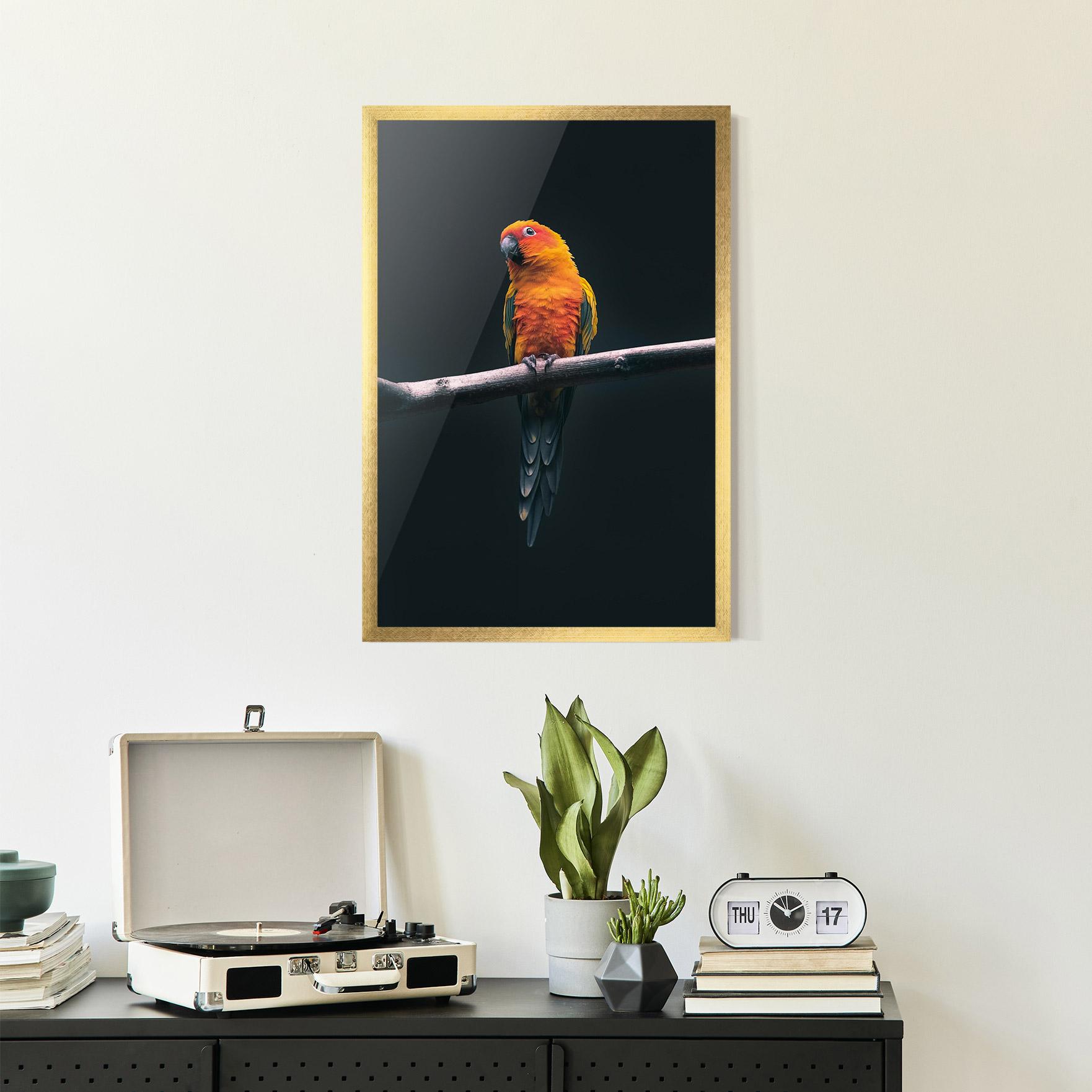 Poster Înrămat Fire Parrot mockup 2