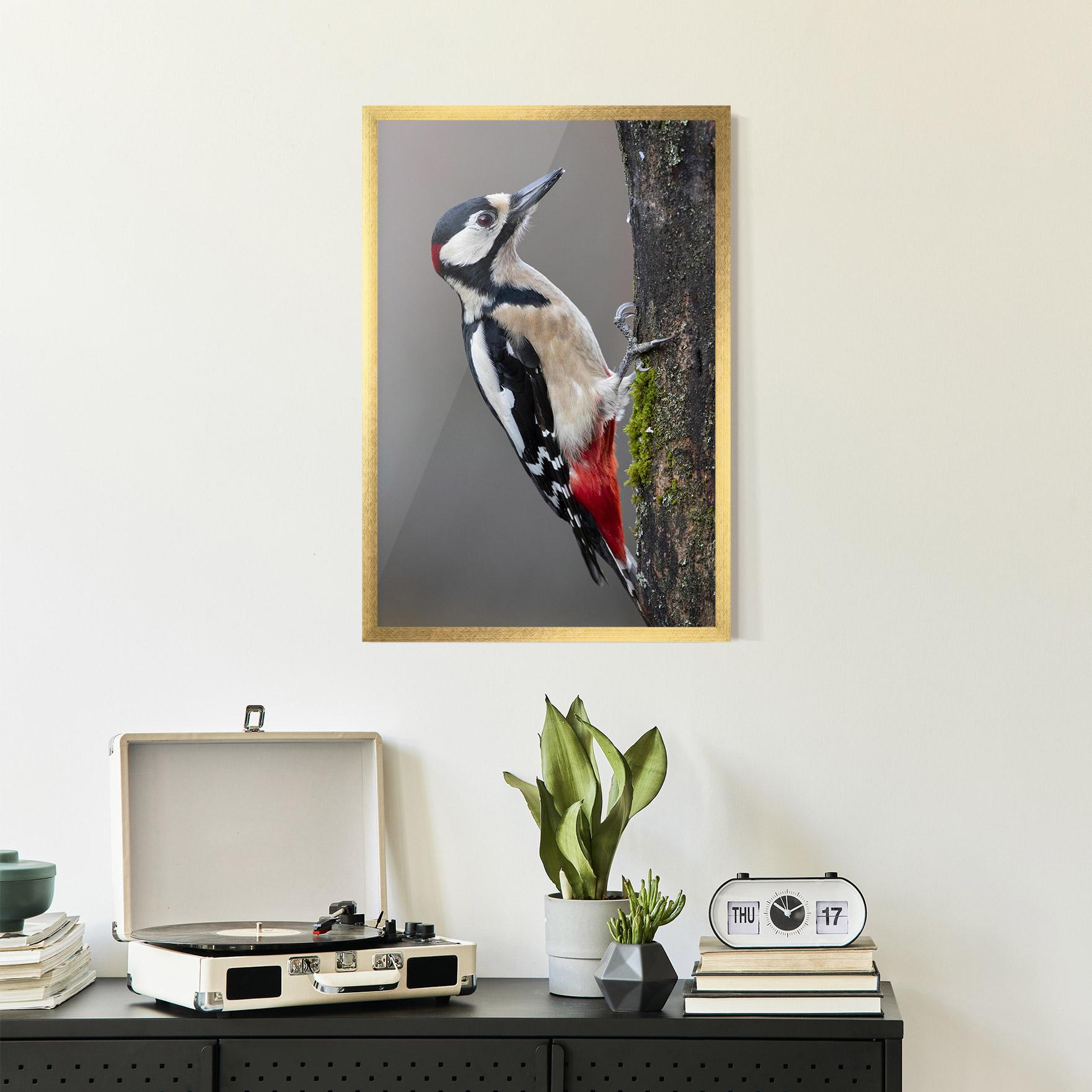 Poster Înrămat Woodpecker mockup 2