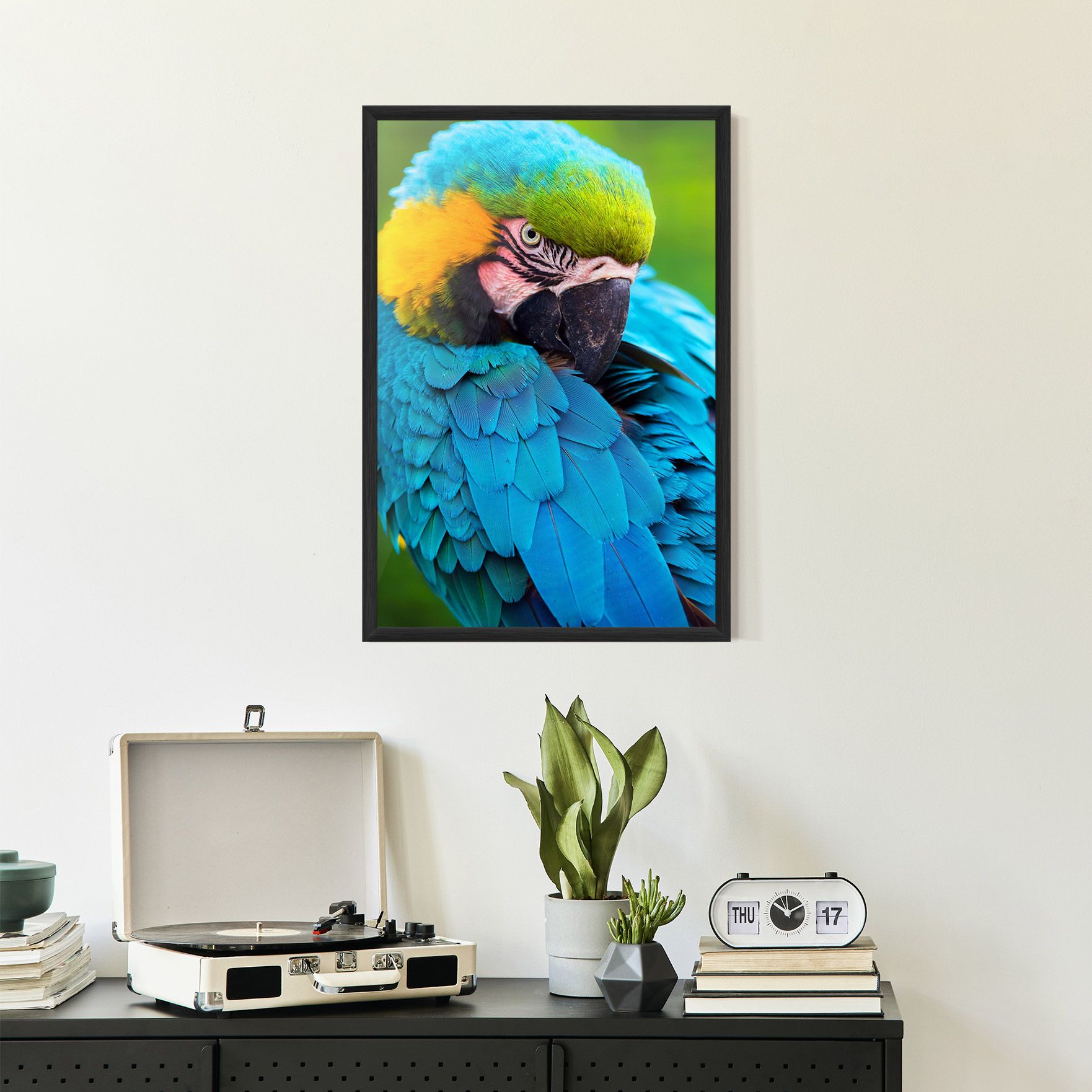 Blue Parrot mockup 2