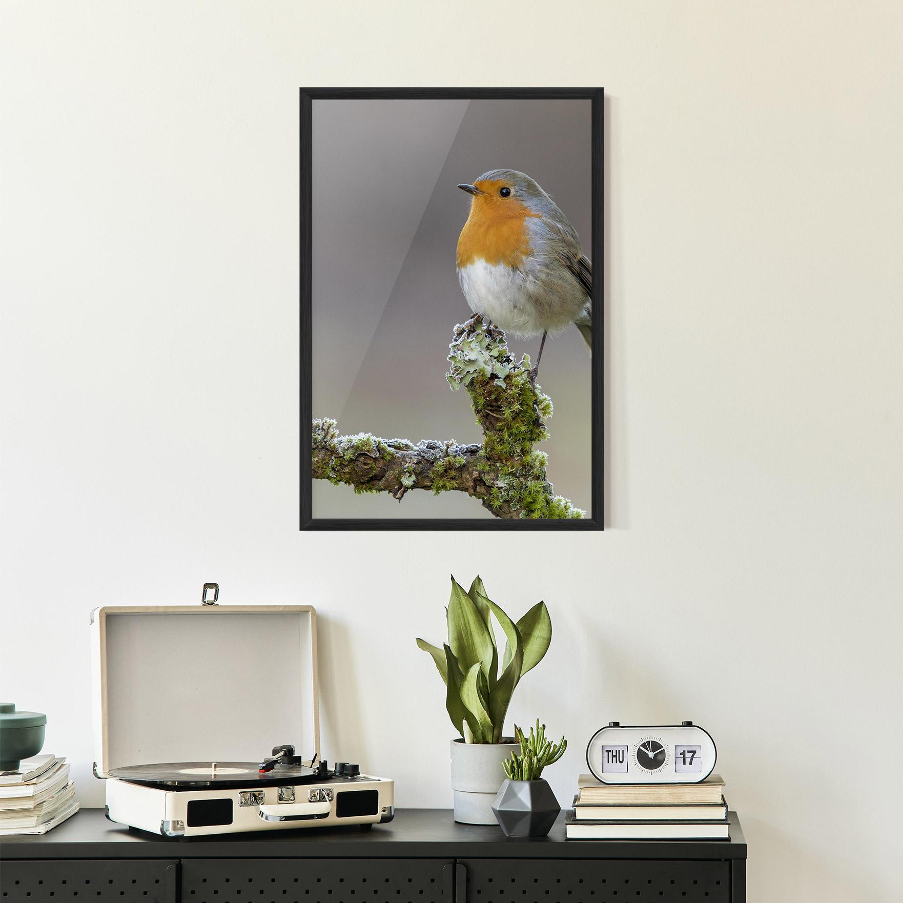 Poster Înrămat Erithacus Bird mockup 2