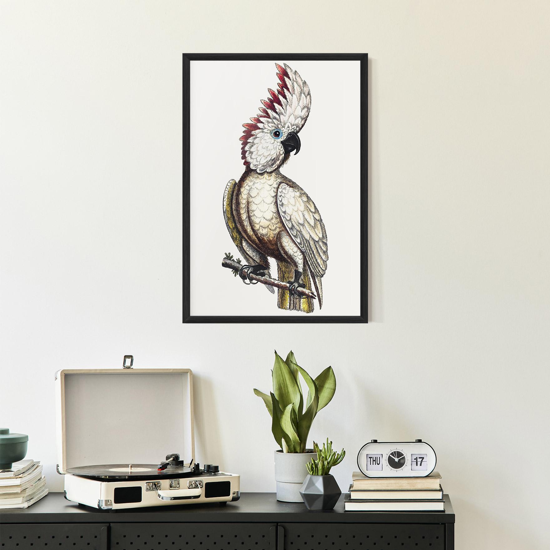 Poster Înrămat Interesting Bird mockup 2