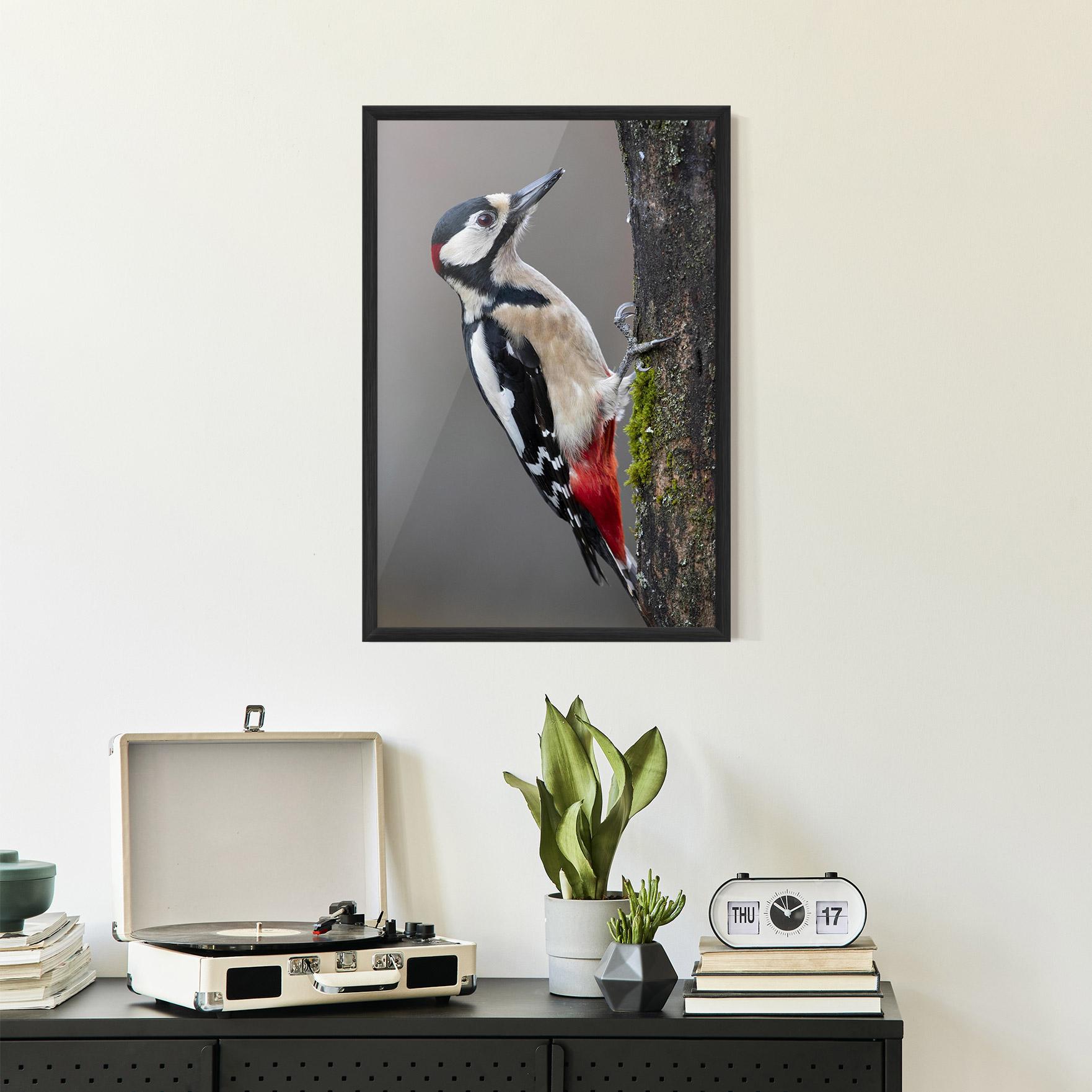 Poster Înrămat Woodpecker mockup 2