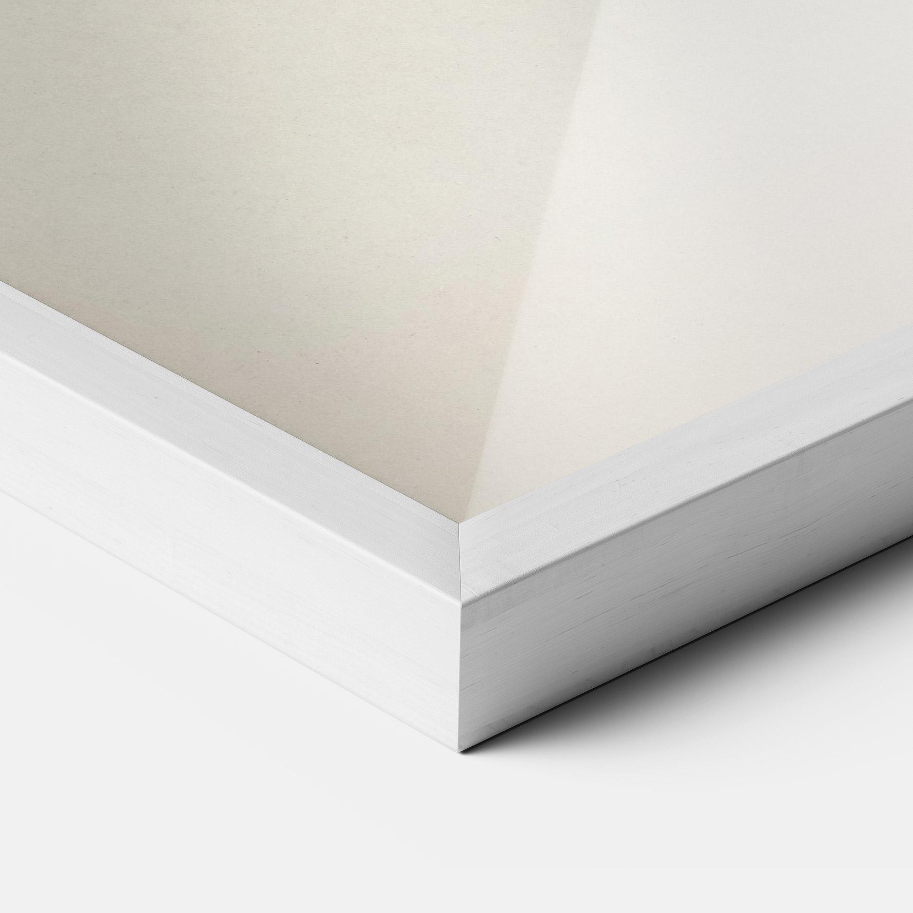 Poster Înrămat Astur Gentilis mockup 3