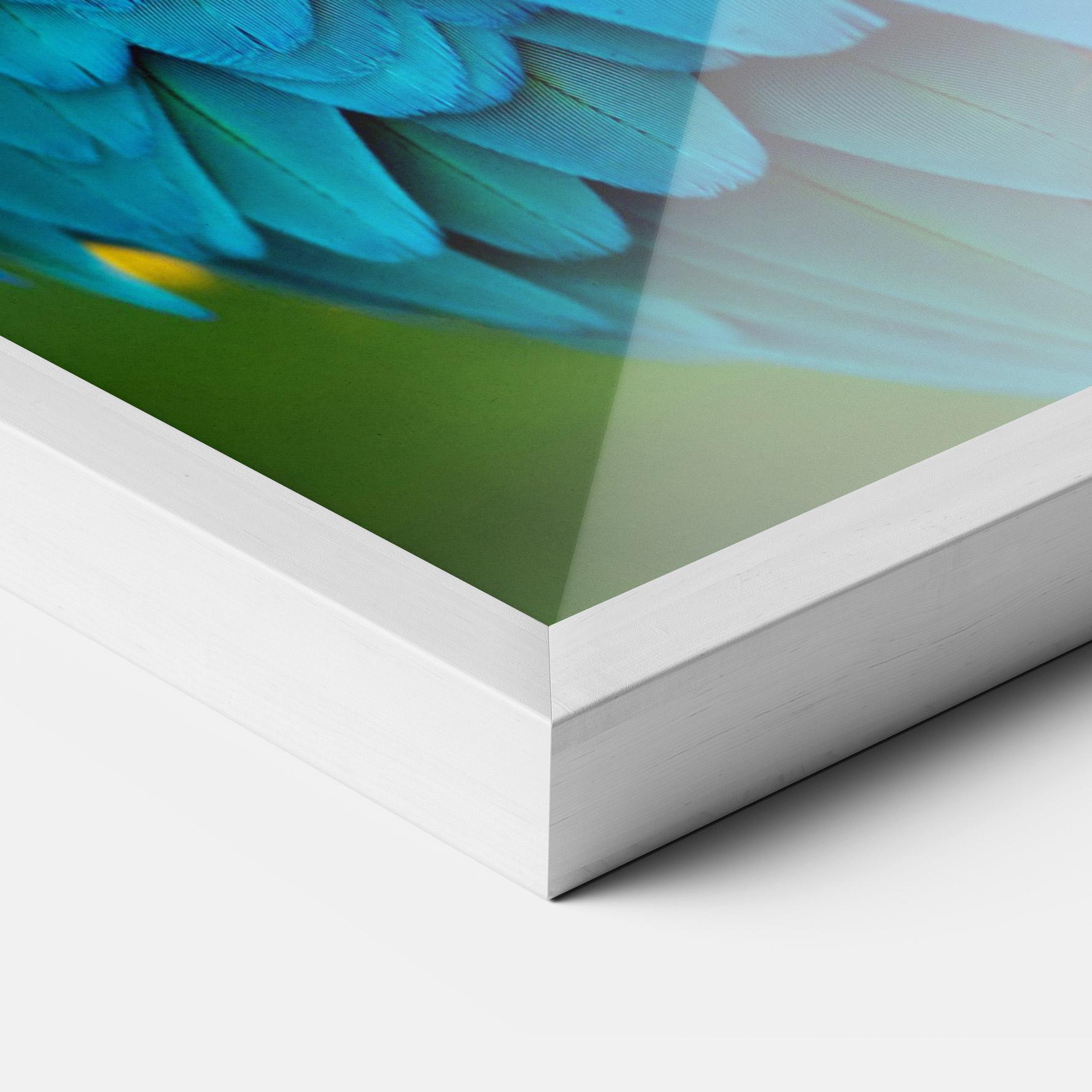 Poster Înrămat Blue Parrot mockup 3