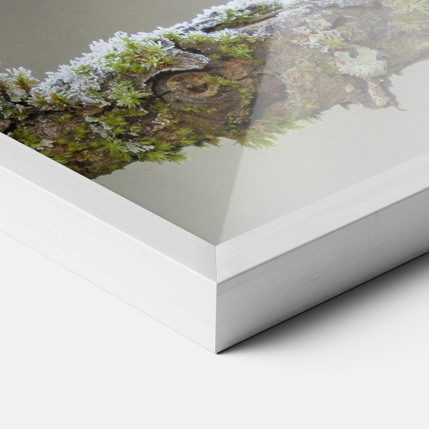 Poster Înrămat Erithacus Bird mockup 3