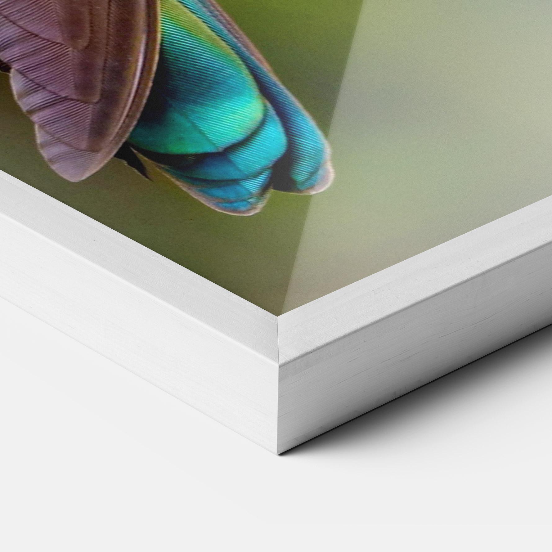 Poster Înrămat Green Bird mockup 3