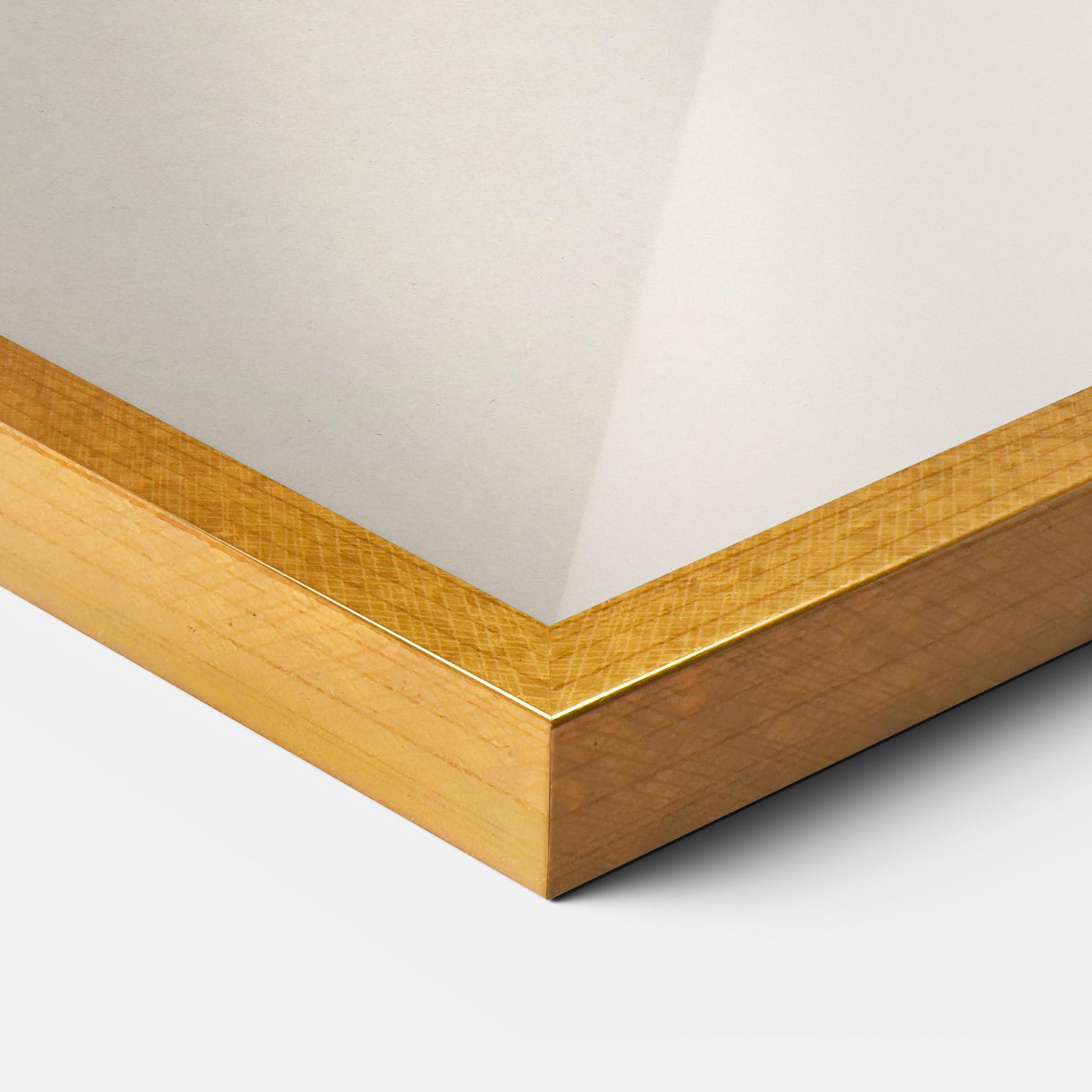 Poster Înrămat Astur Gentilis mockup 3