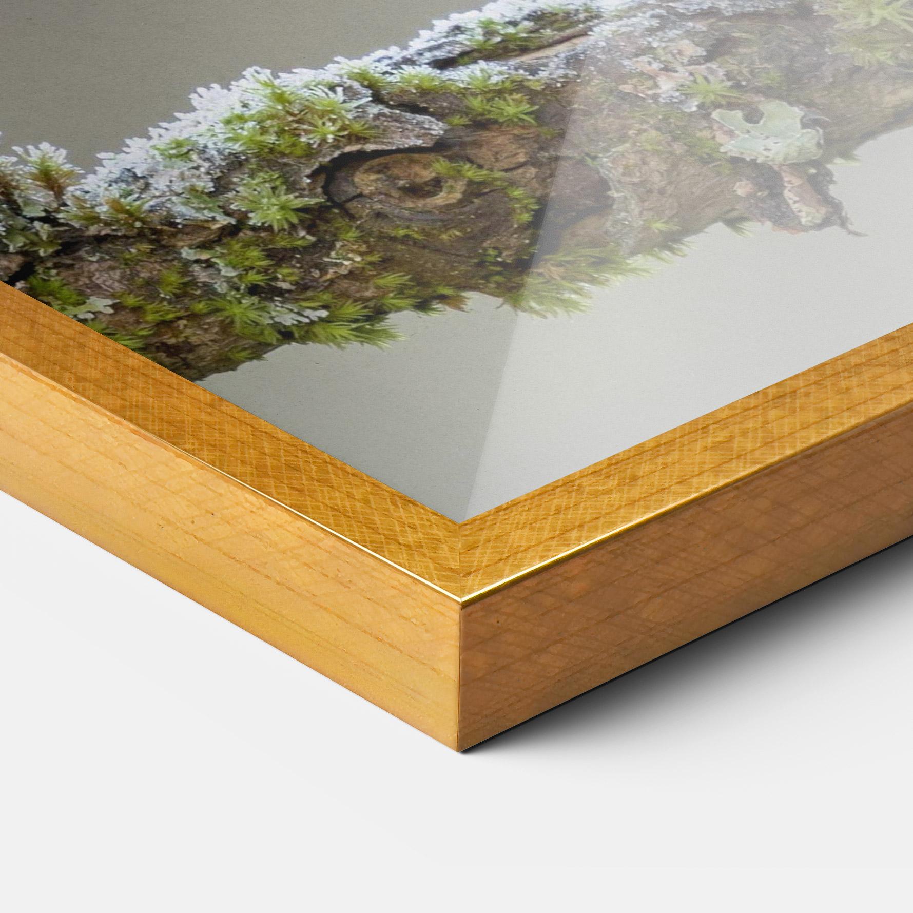 Poster Înrămat Erithacus Bird mockup 3