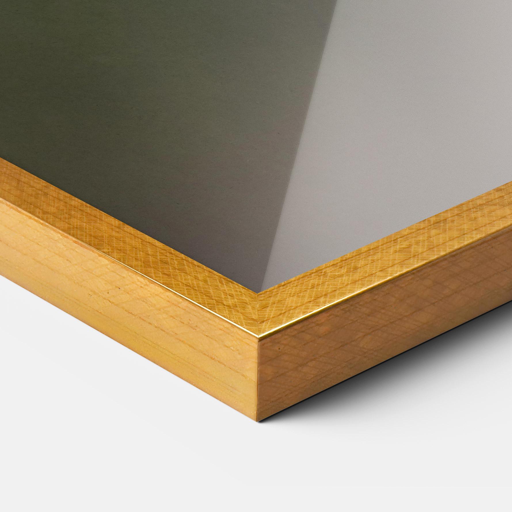 Poster Înrămat Female Kingfisher mockup 3