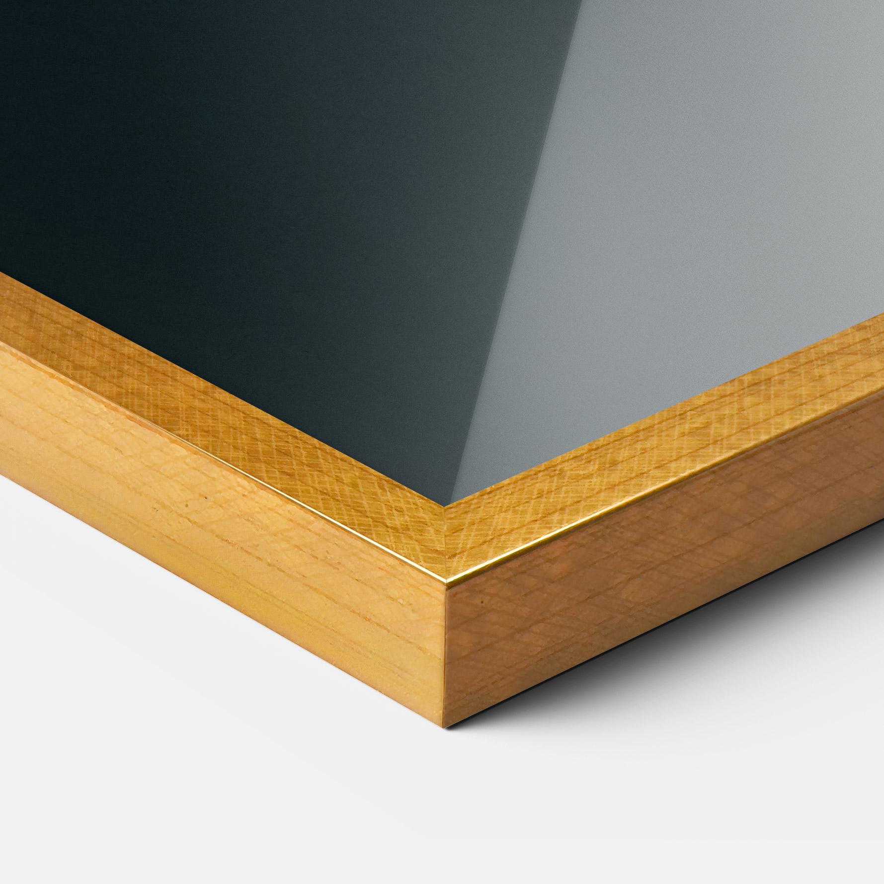 Poster Înrămat Fire Parrot mockup 3