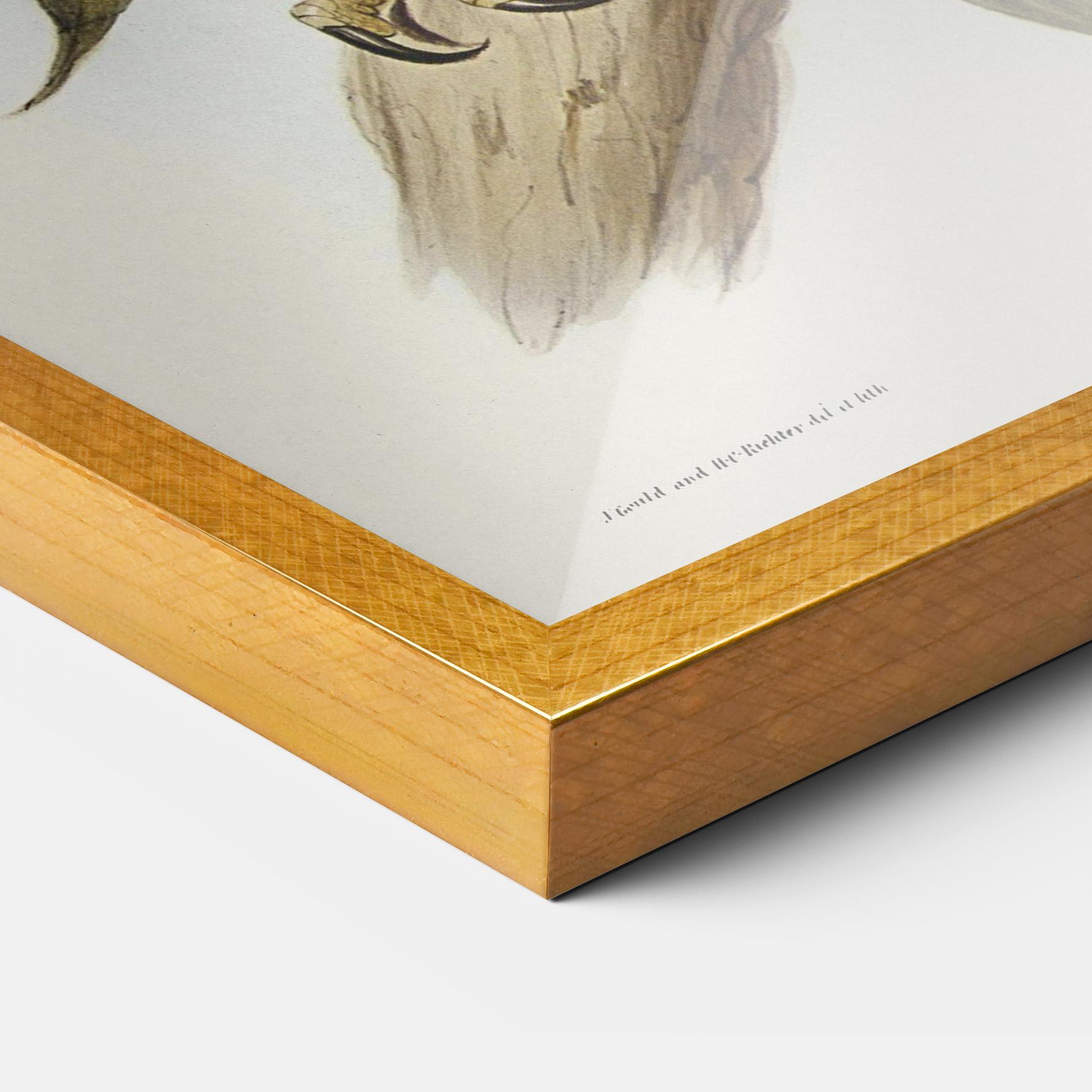 Poster Înrămat Owl Family mockup 3