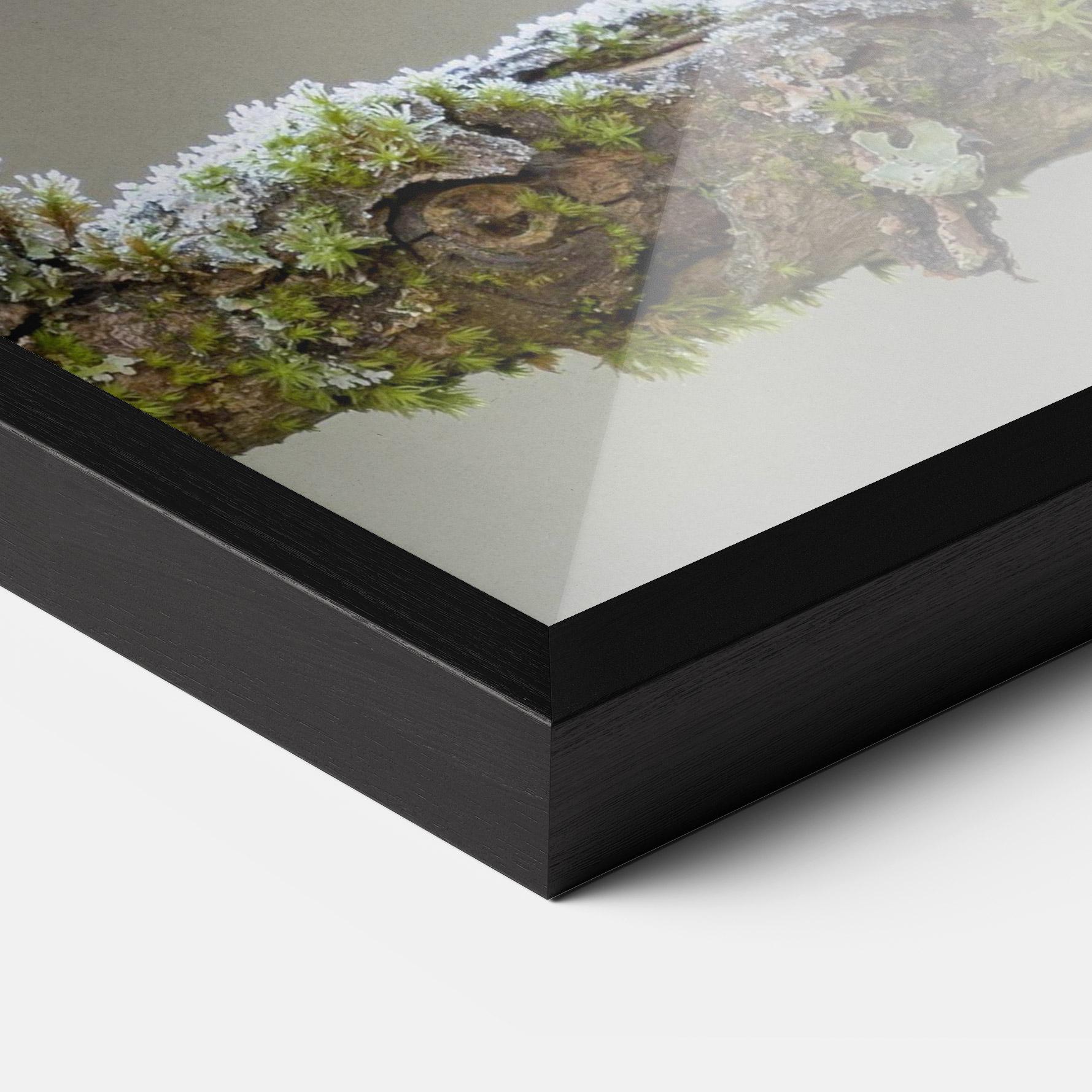 Poster Înrămat Erithacus Bird mockup 3