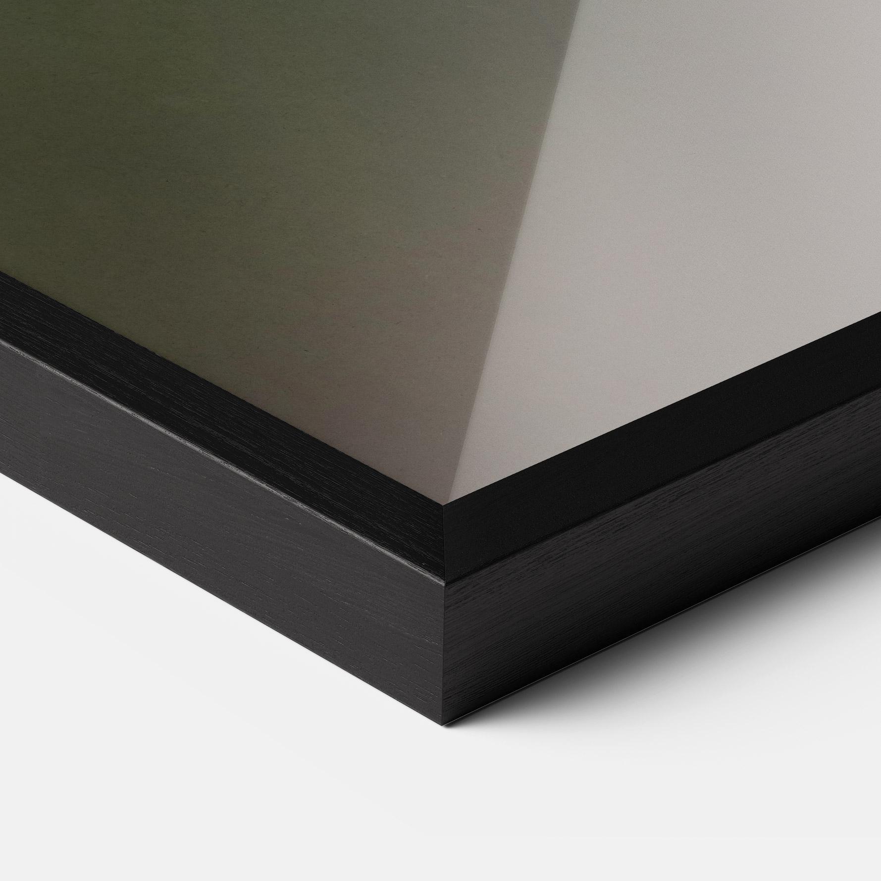 Poster Înrămat Female Kingfisher mockup 3