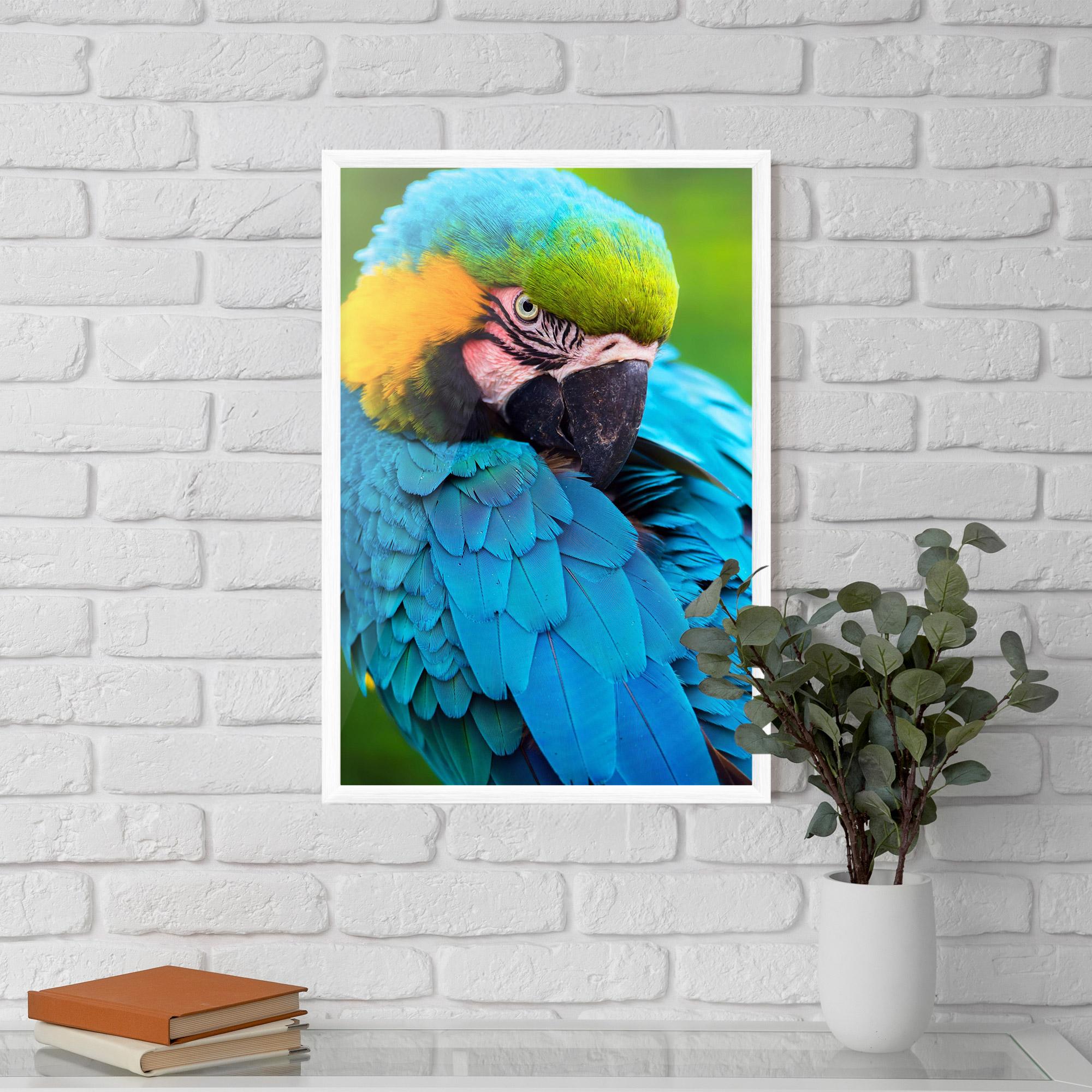 Poster Înrămat Blue Parrot mockup 5