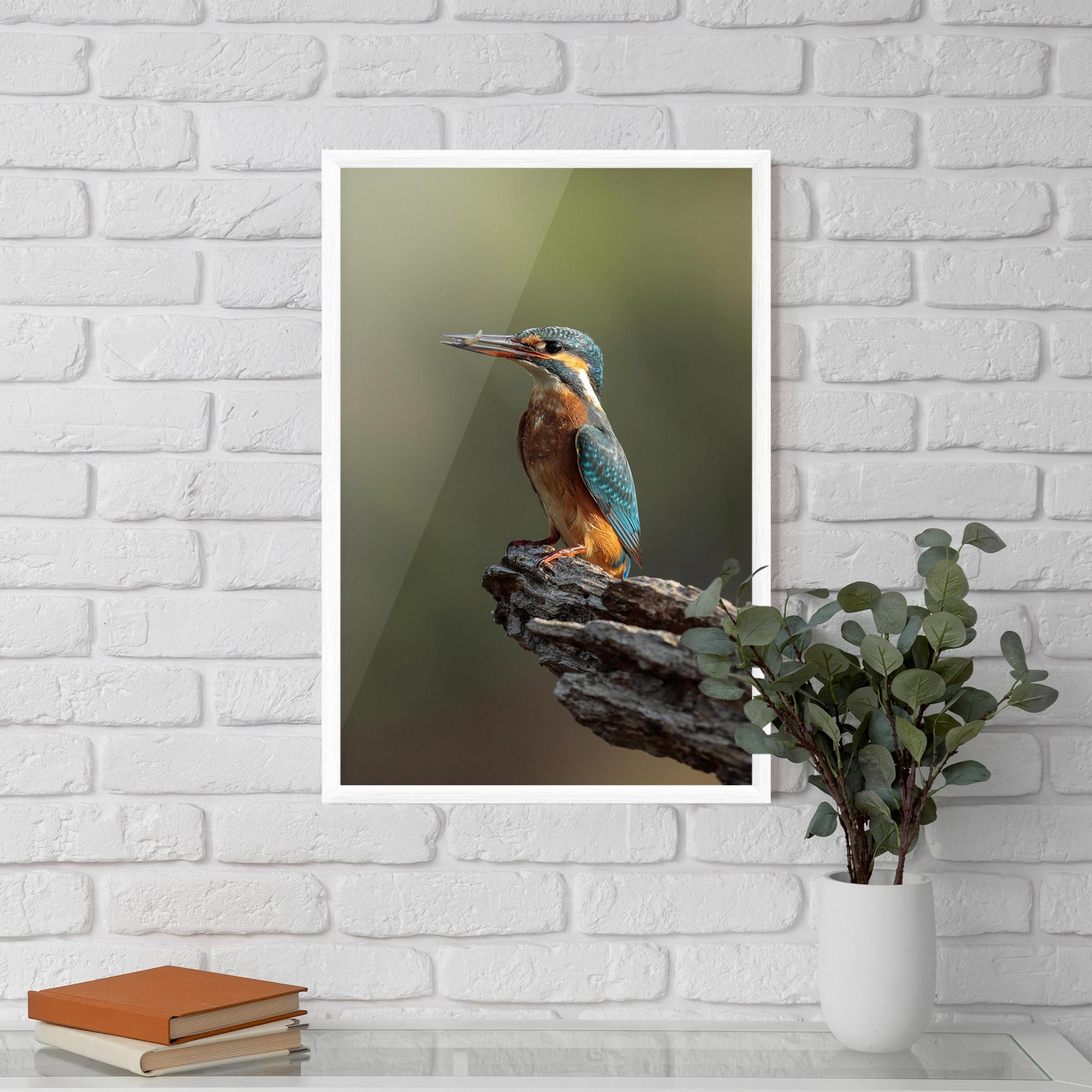 Poster Înrămat Female Kingfisher mockup 5
