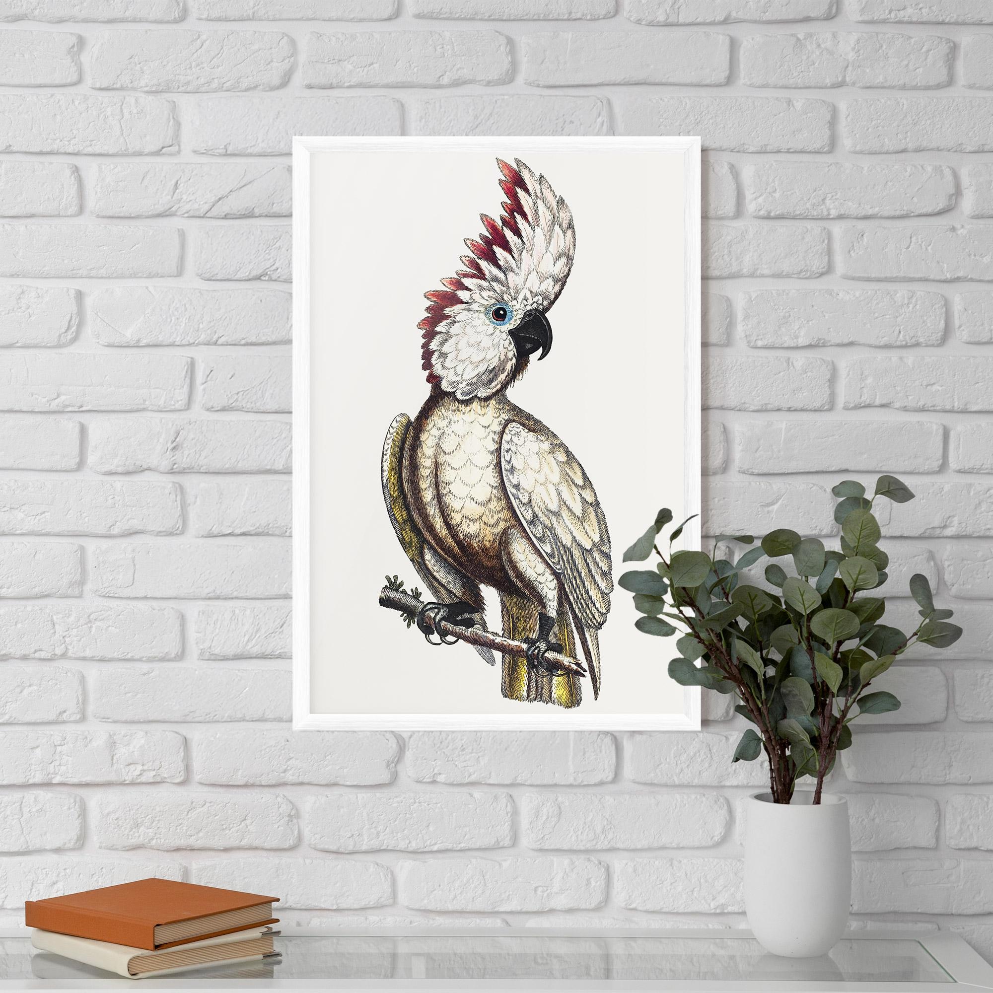 Poster Înrămat Interesting Bird mockup 5