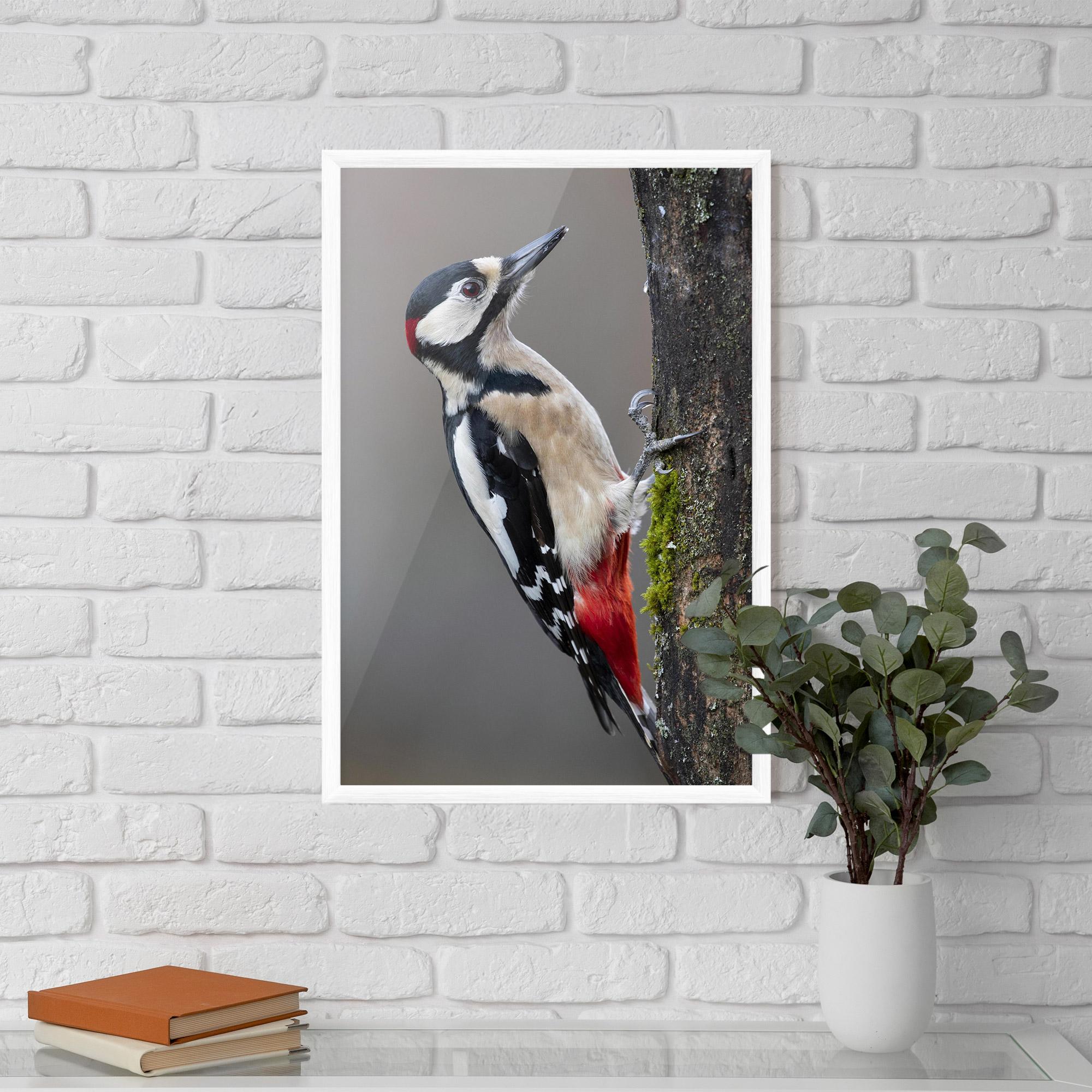 Poster Înrămat Woodpecker mockup 5