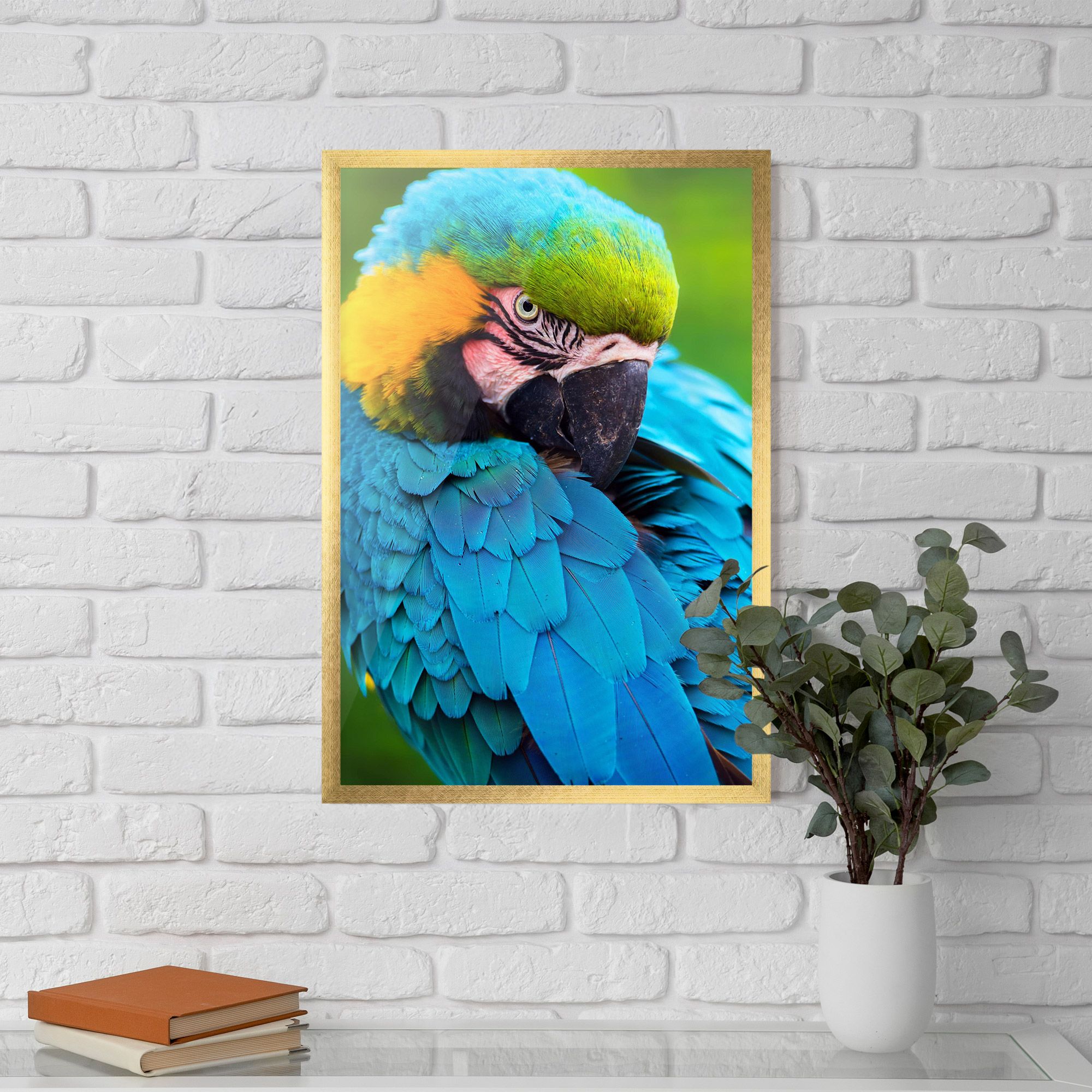 Blue Parrot mockup 5