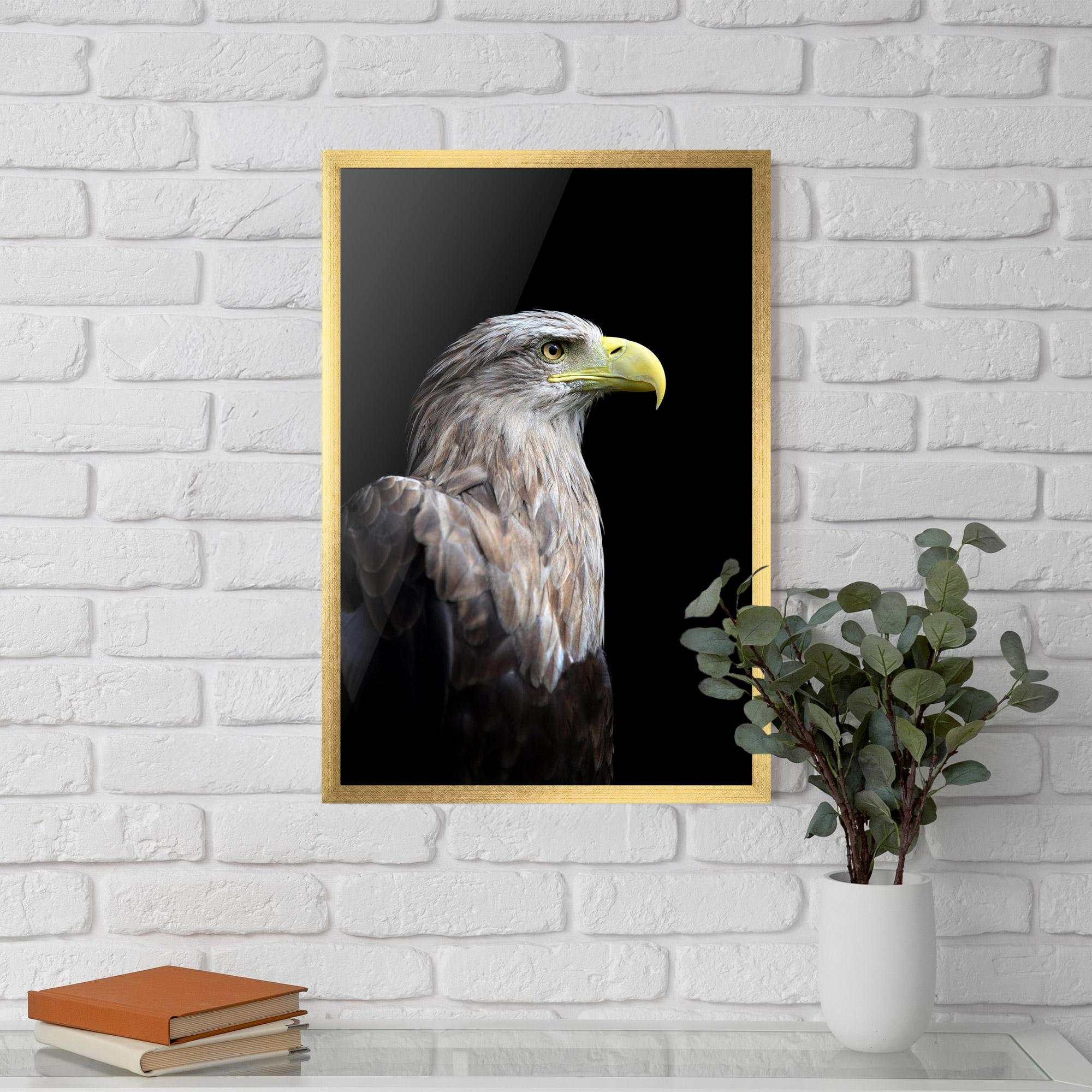 Poster Înrămat Close Up Eagle mockup 5