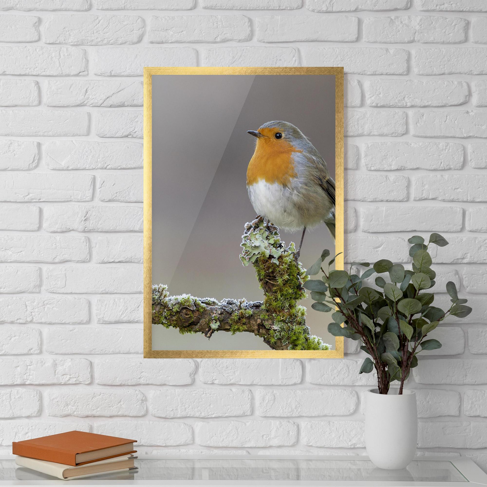 Poster Înrămat Erithacus Bird mockup 5