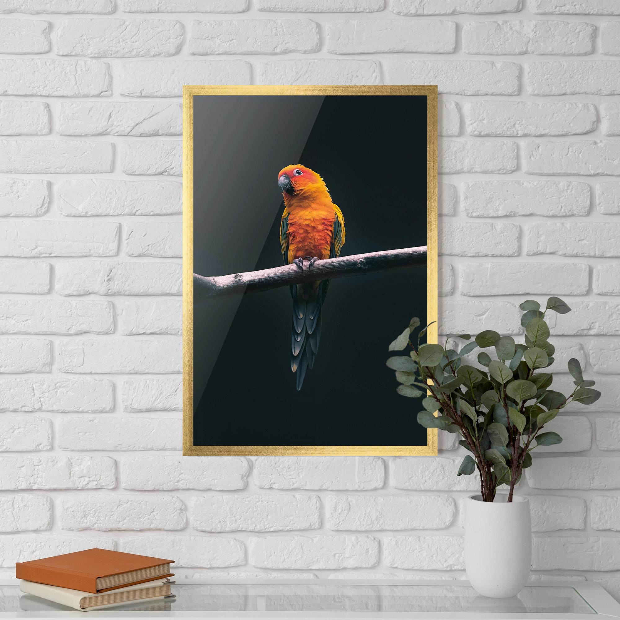 Poster Înrămat Fire Parrot mockup 5