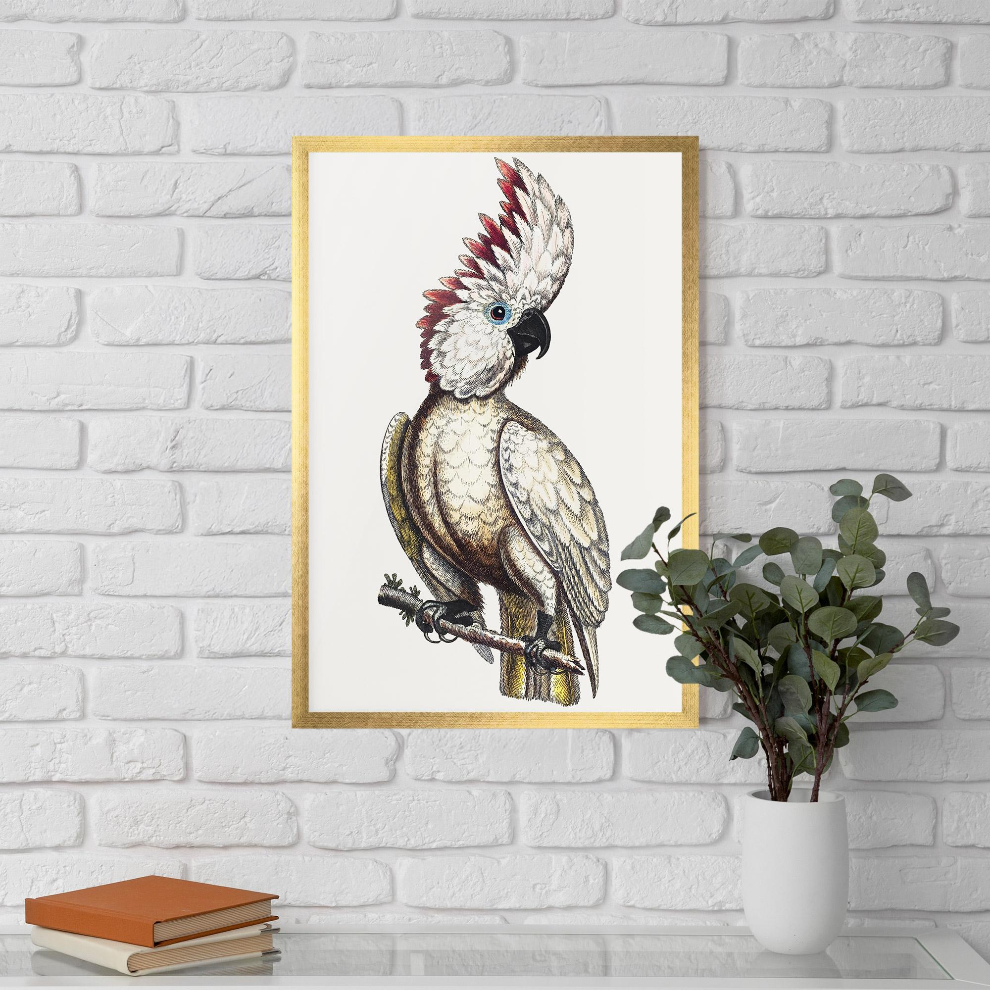 Poster Înrămat Interesting Bird mockup 5