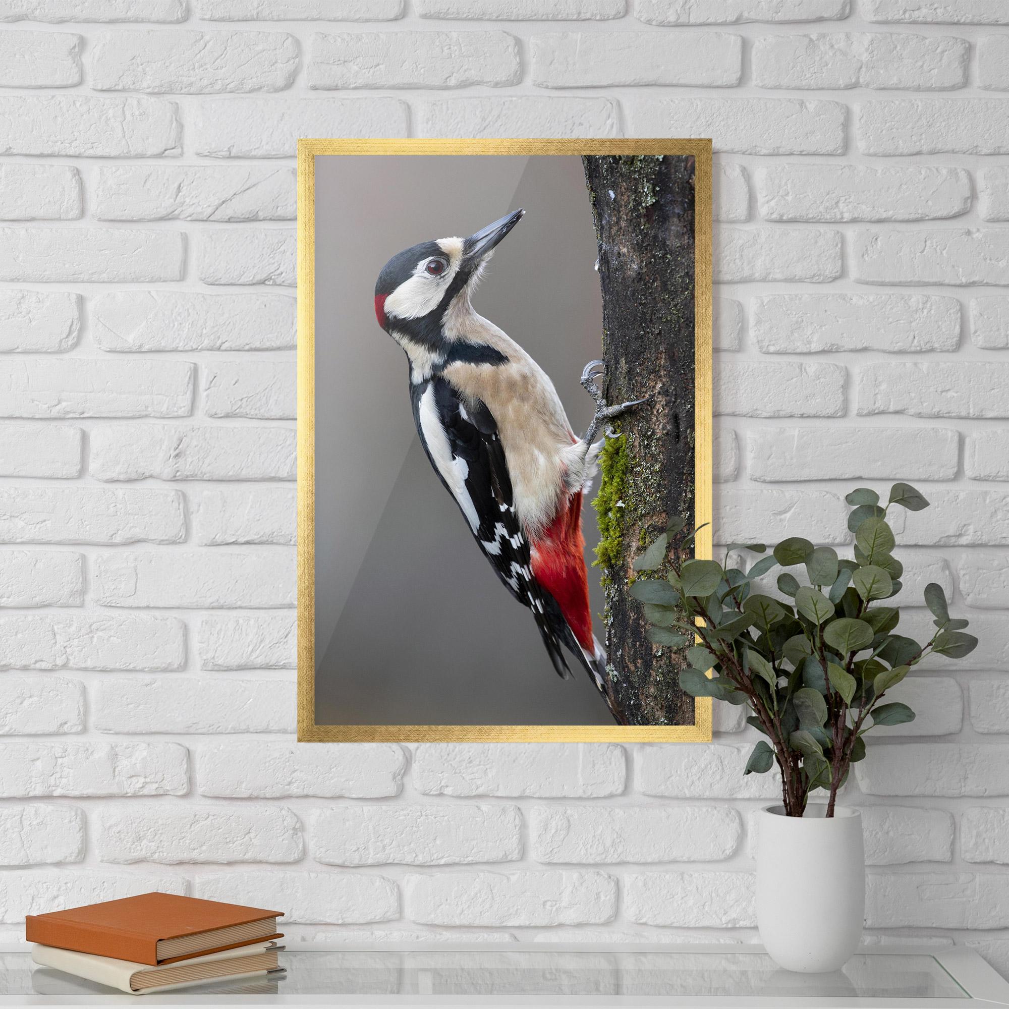 Poster Înrămat Woodpecker mockup 5