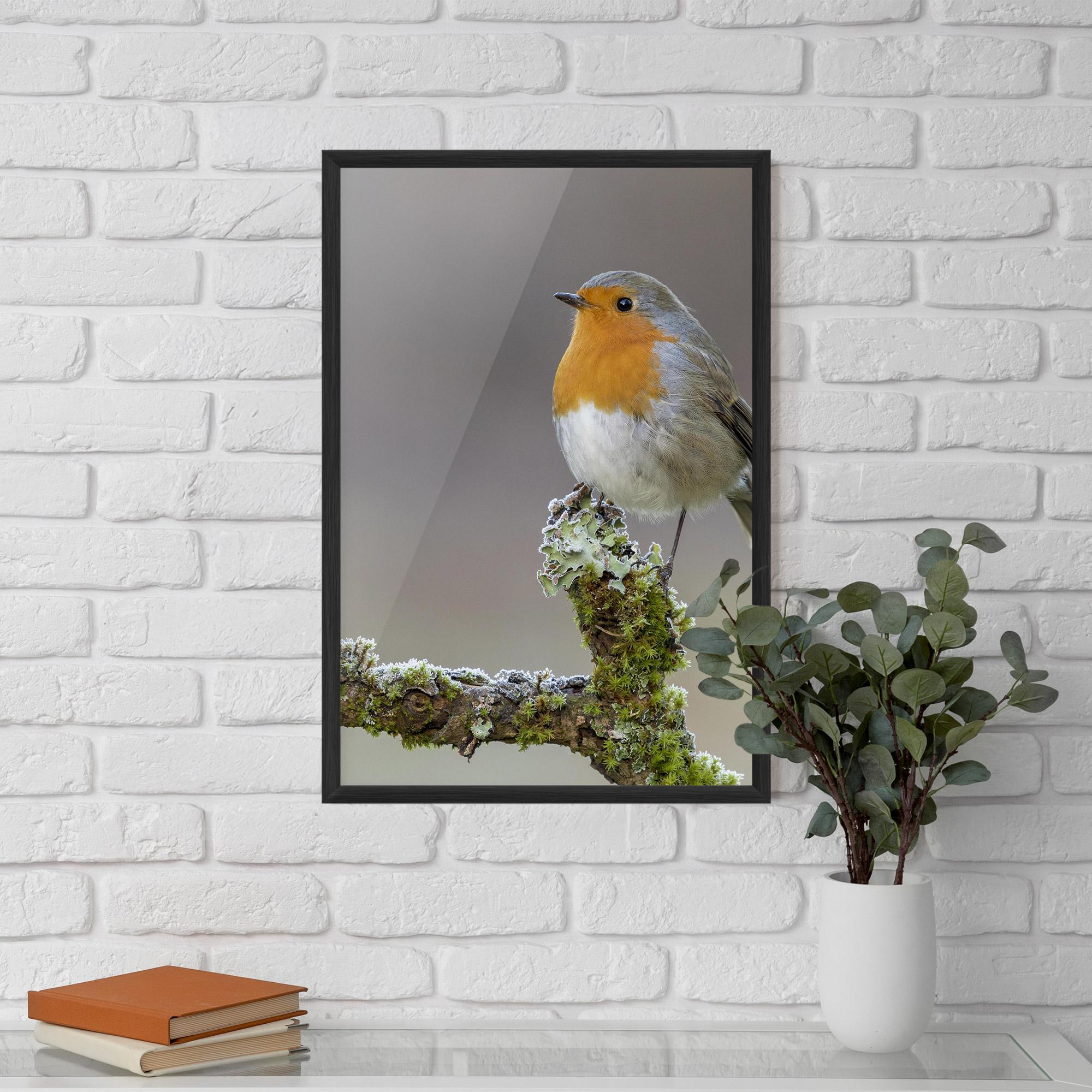 Poster Înrămat Erithacus Bird mockup 5