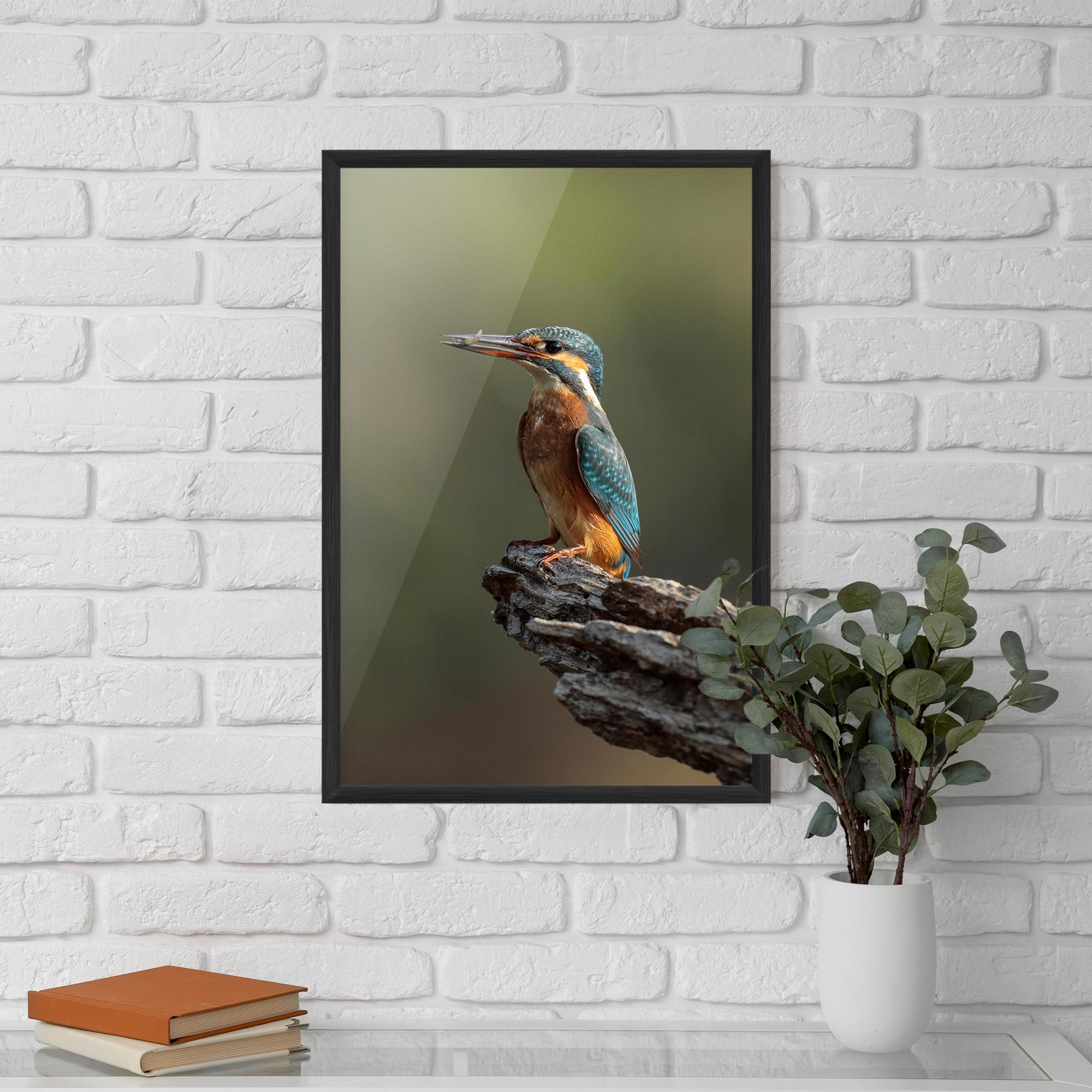 Poster Înrămat Female Kingfisher mockup 5