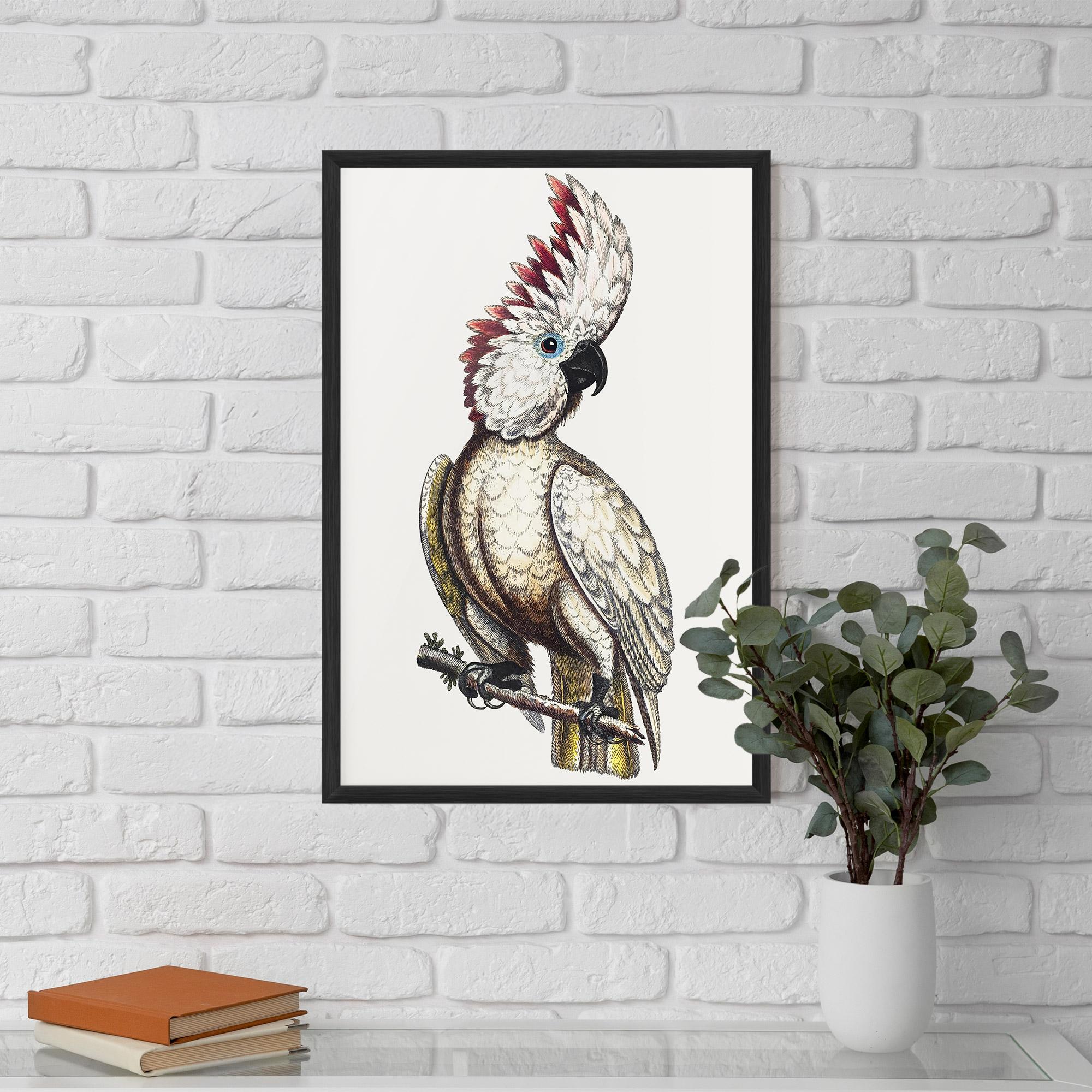 Poster Înrămat Interesting Bird mockup 5